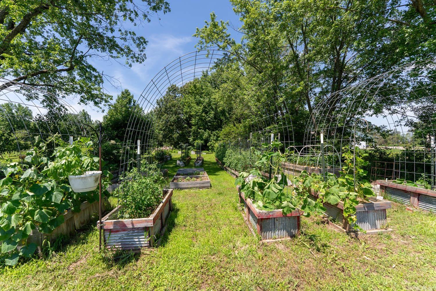 10239 State Highway 25  Dexter, MO
