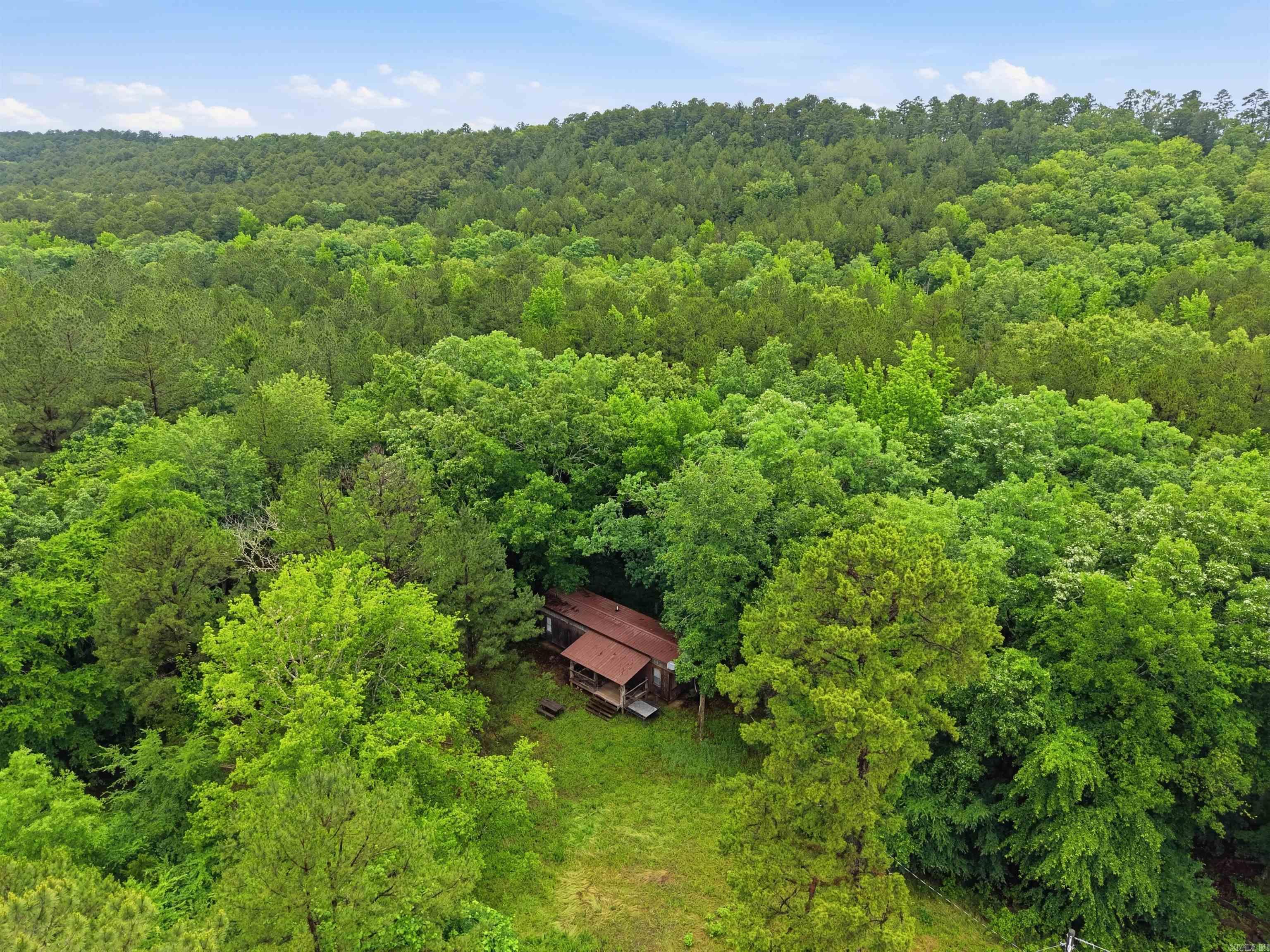 377 Brush Creek  Plainview, AR