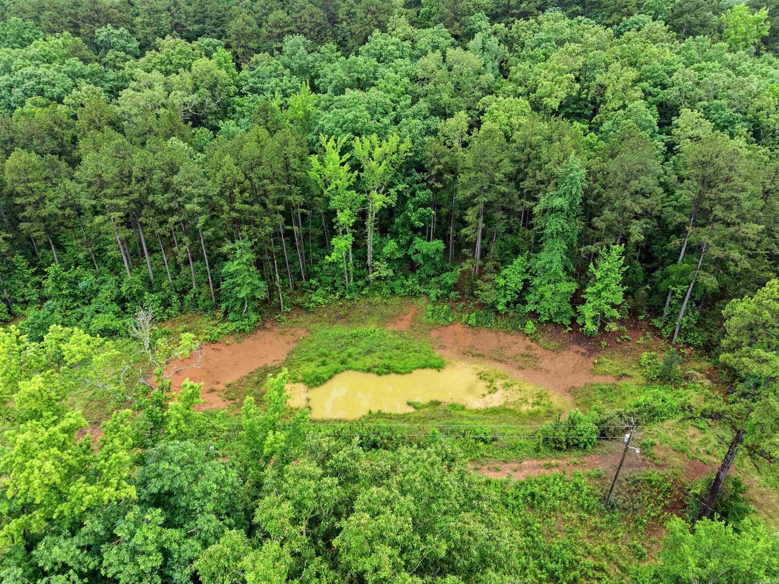 377 Brush Creek  Plainview, AR
