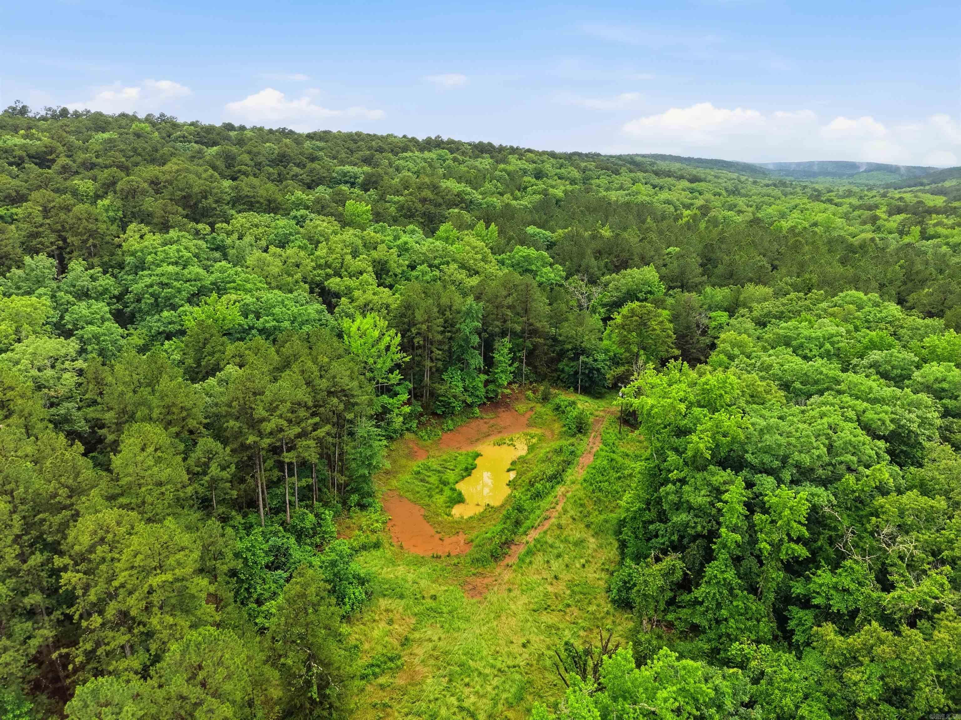 377 Brush Creek  Plainview, AR