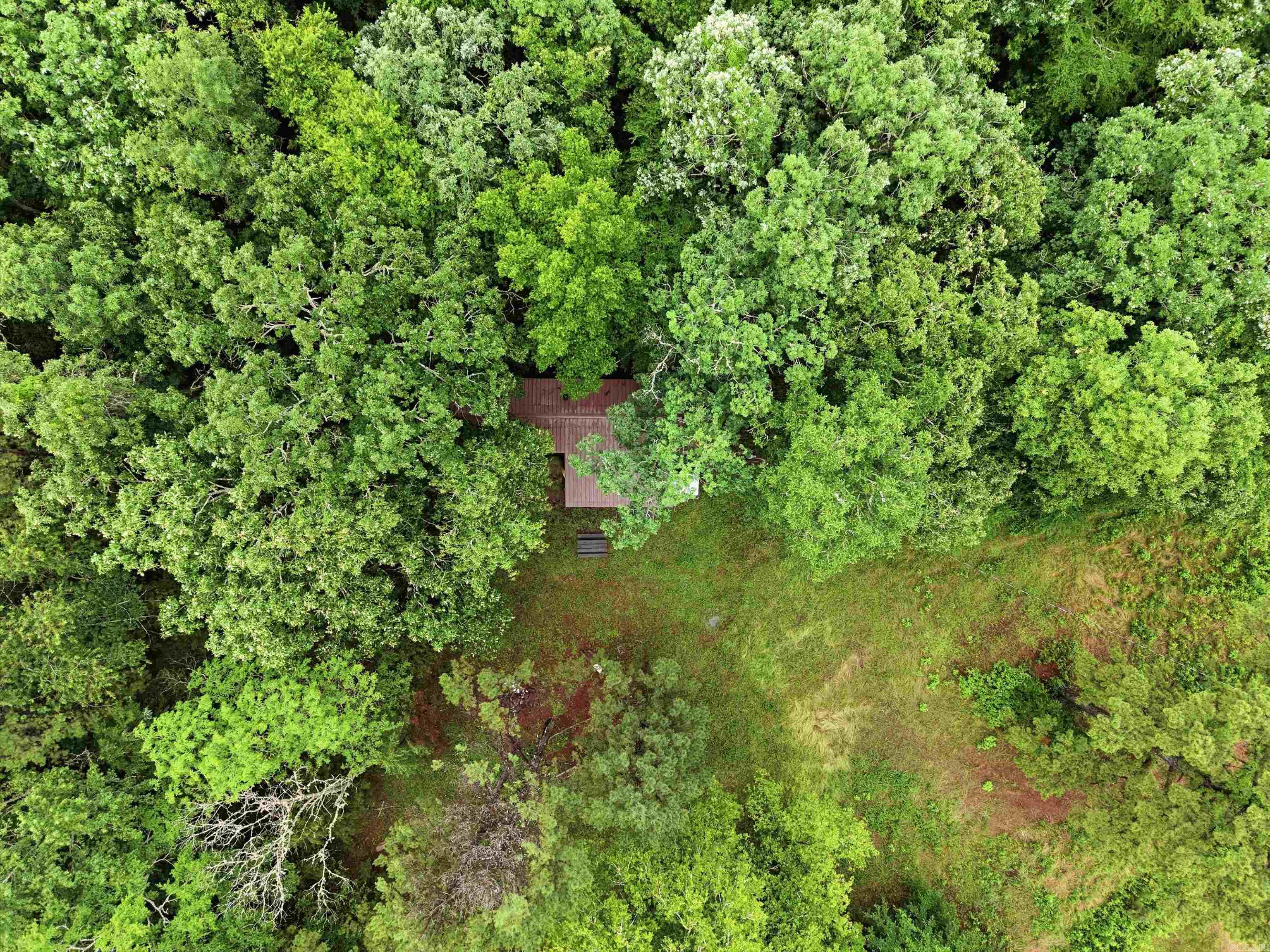 377 Brush Creek  Plainview, AR