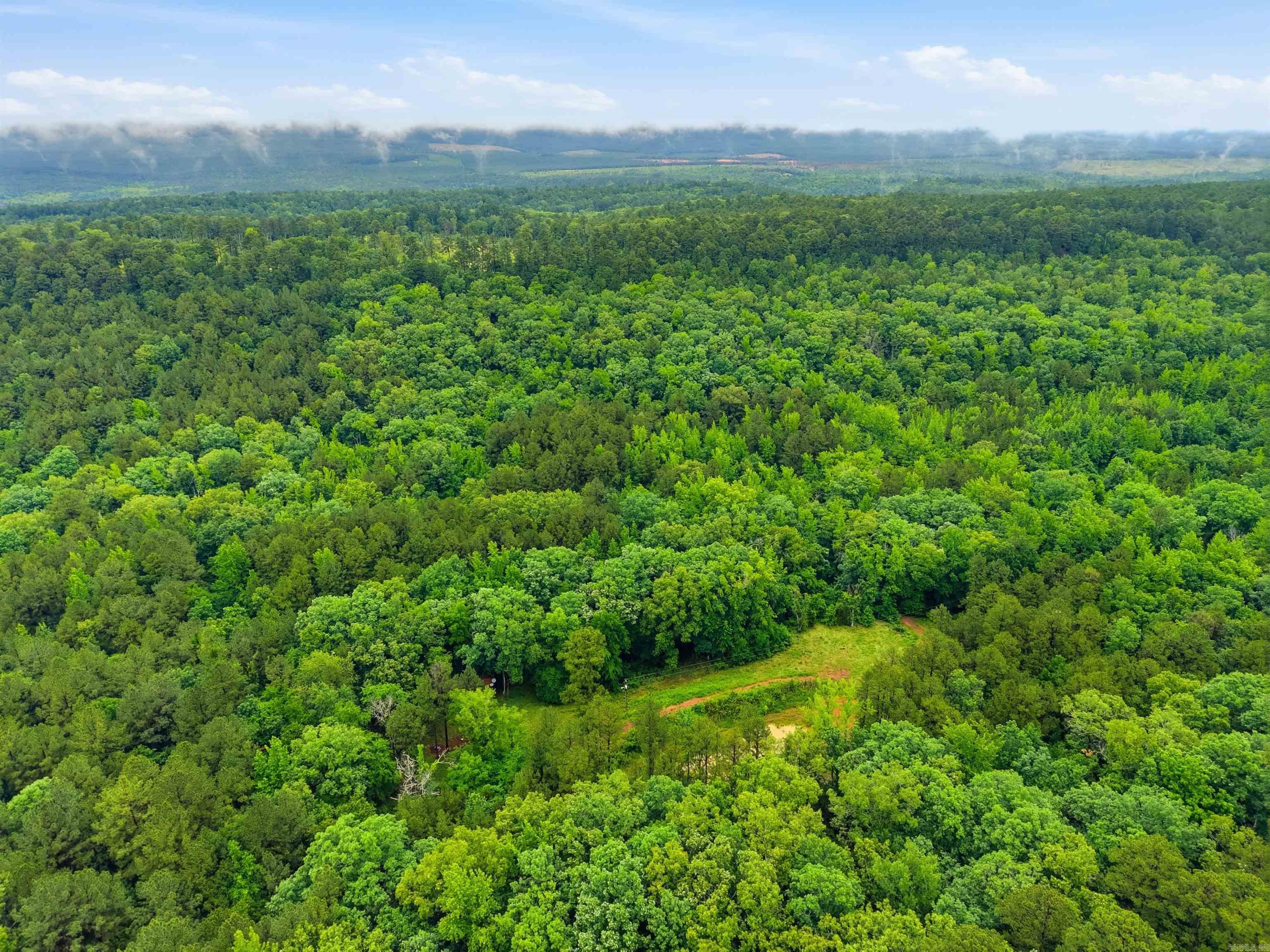 377 Brush Creek  Plainview, AR