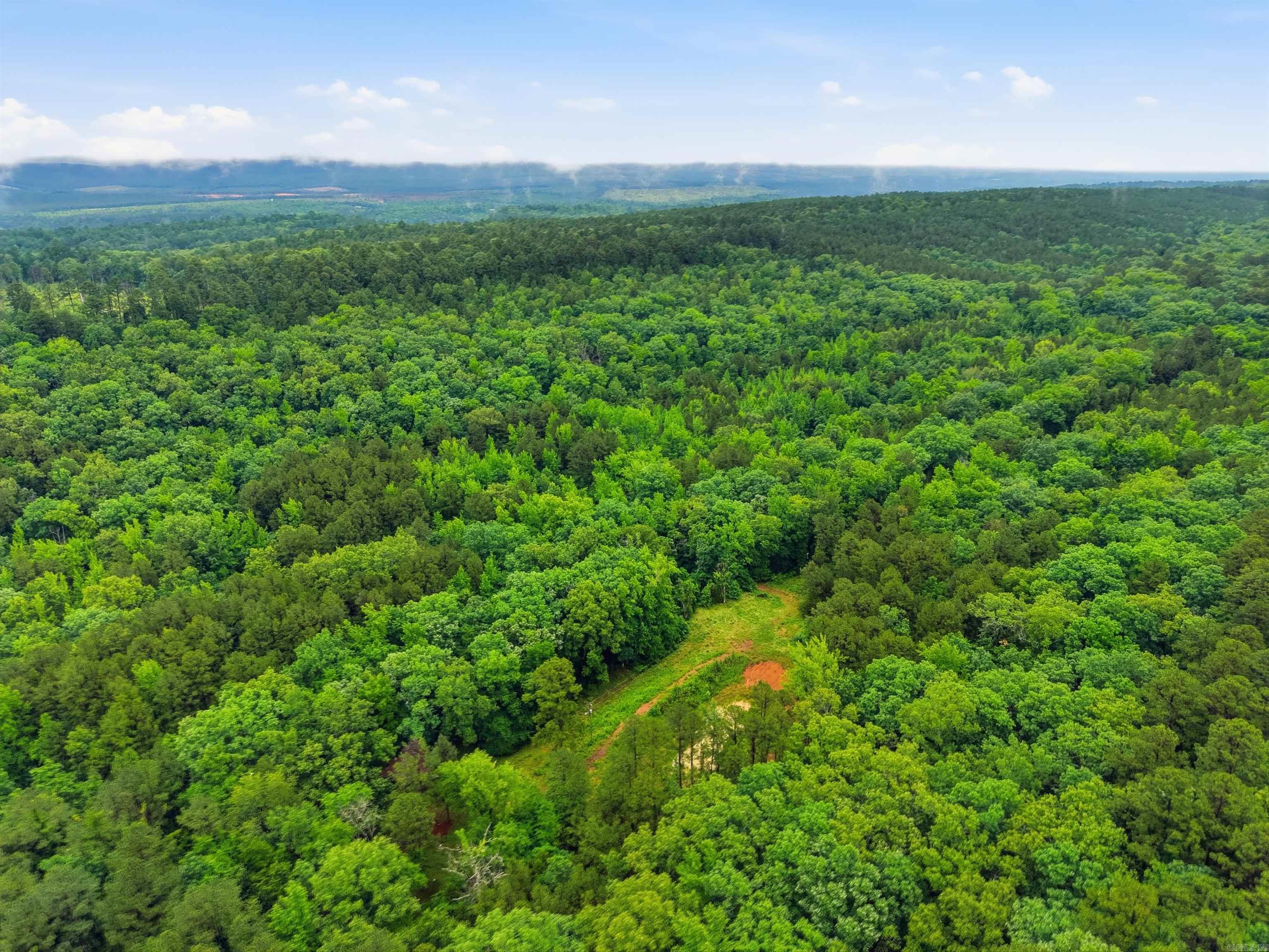 377 Brush Creek  Plainview, AR