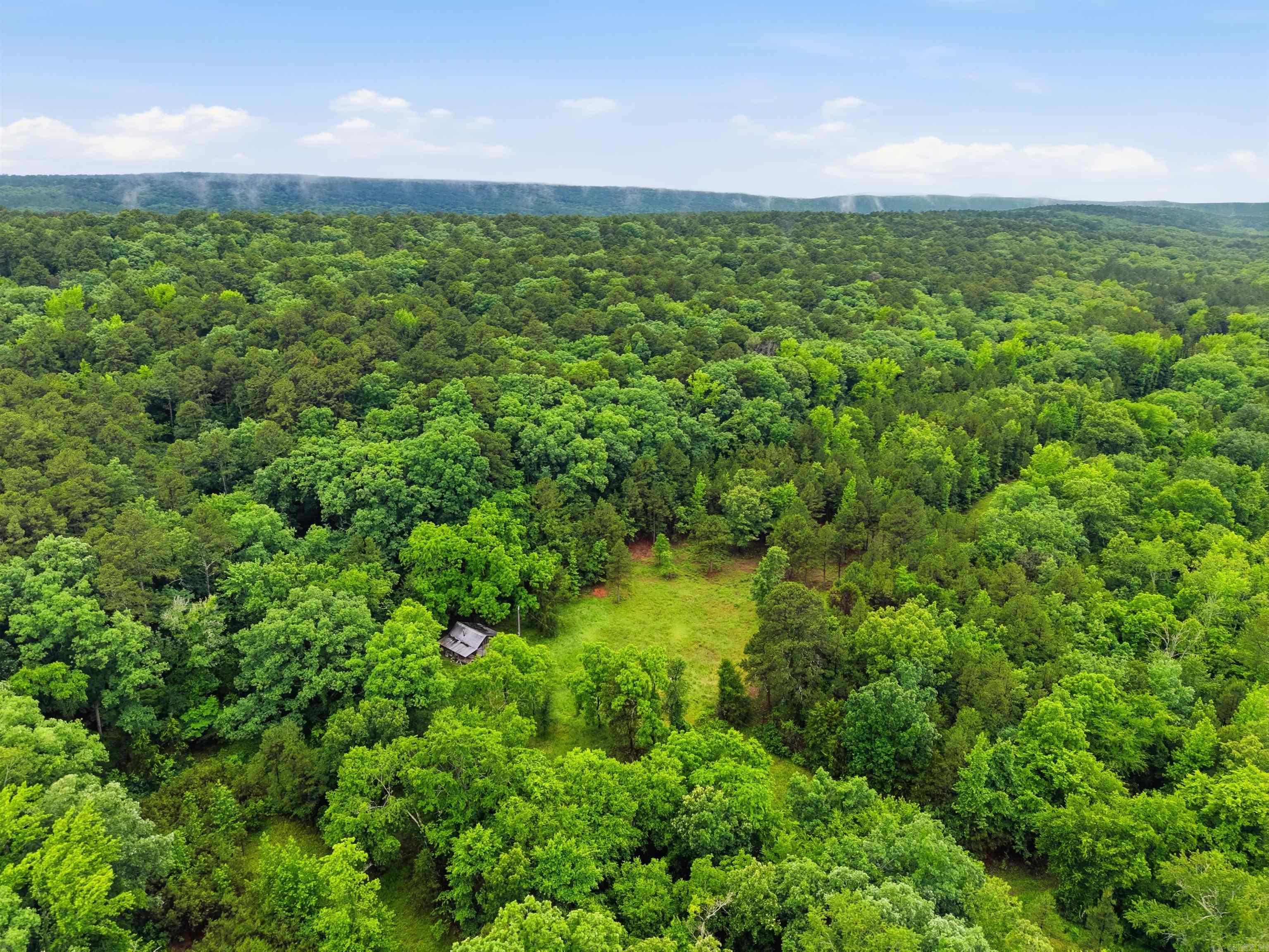 377 Brush Creek  Plainview, AR