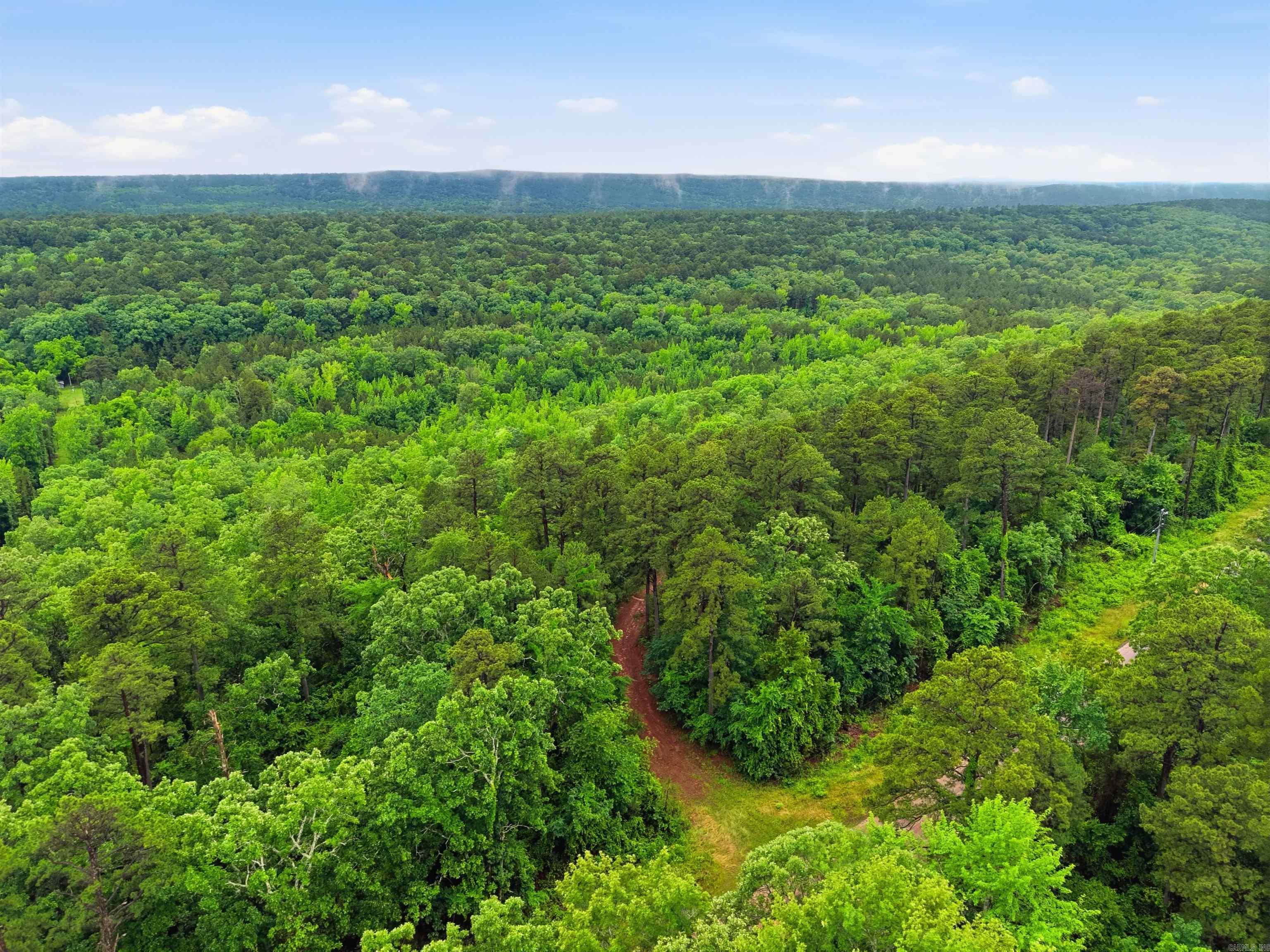 377 Brush Creek  Plainview, AR