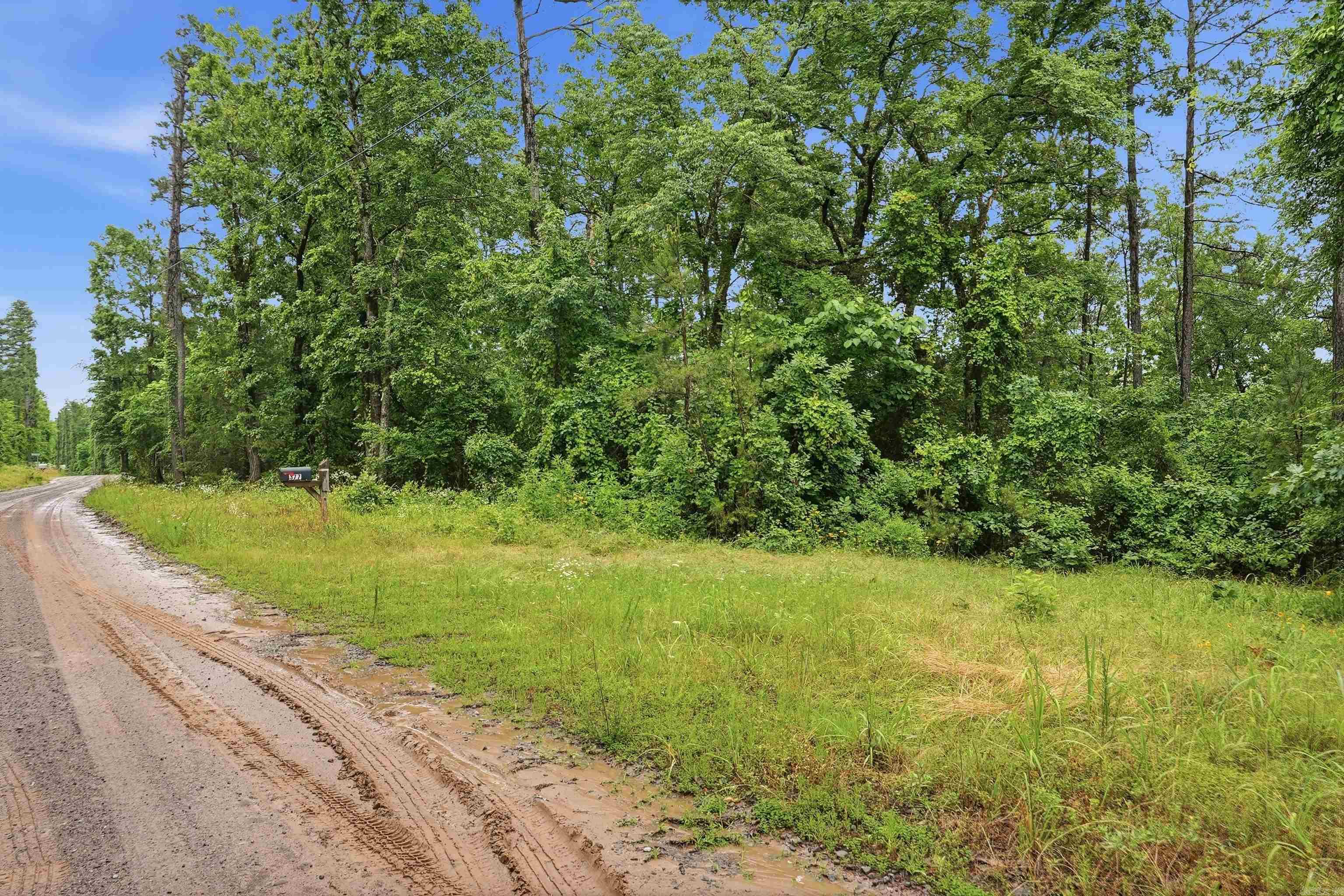 377 Brush Creek  Plainview, AR