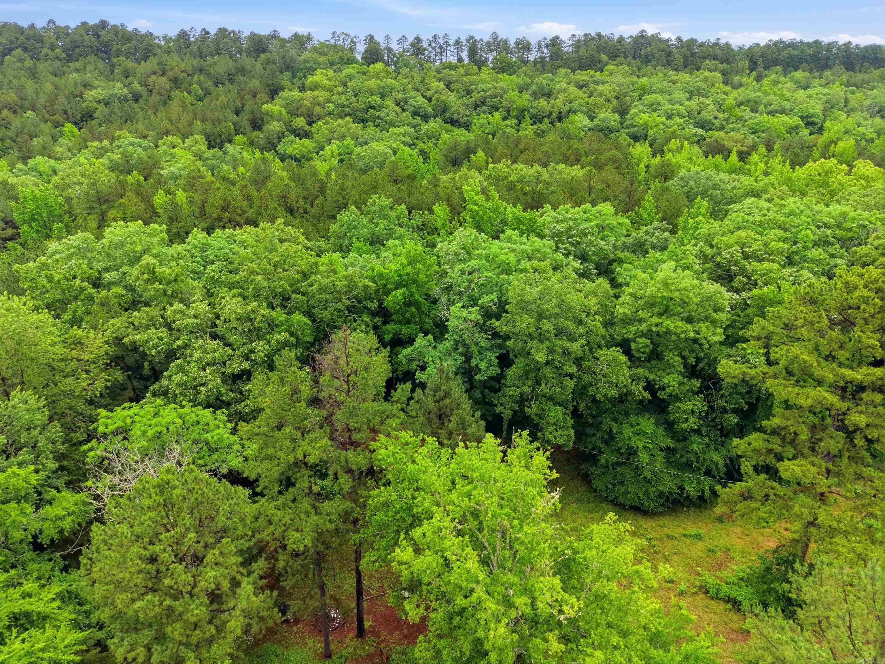 377 Brush Creek  Plainview, AR
