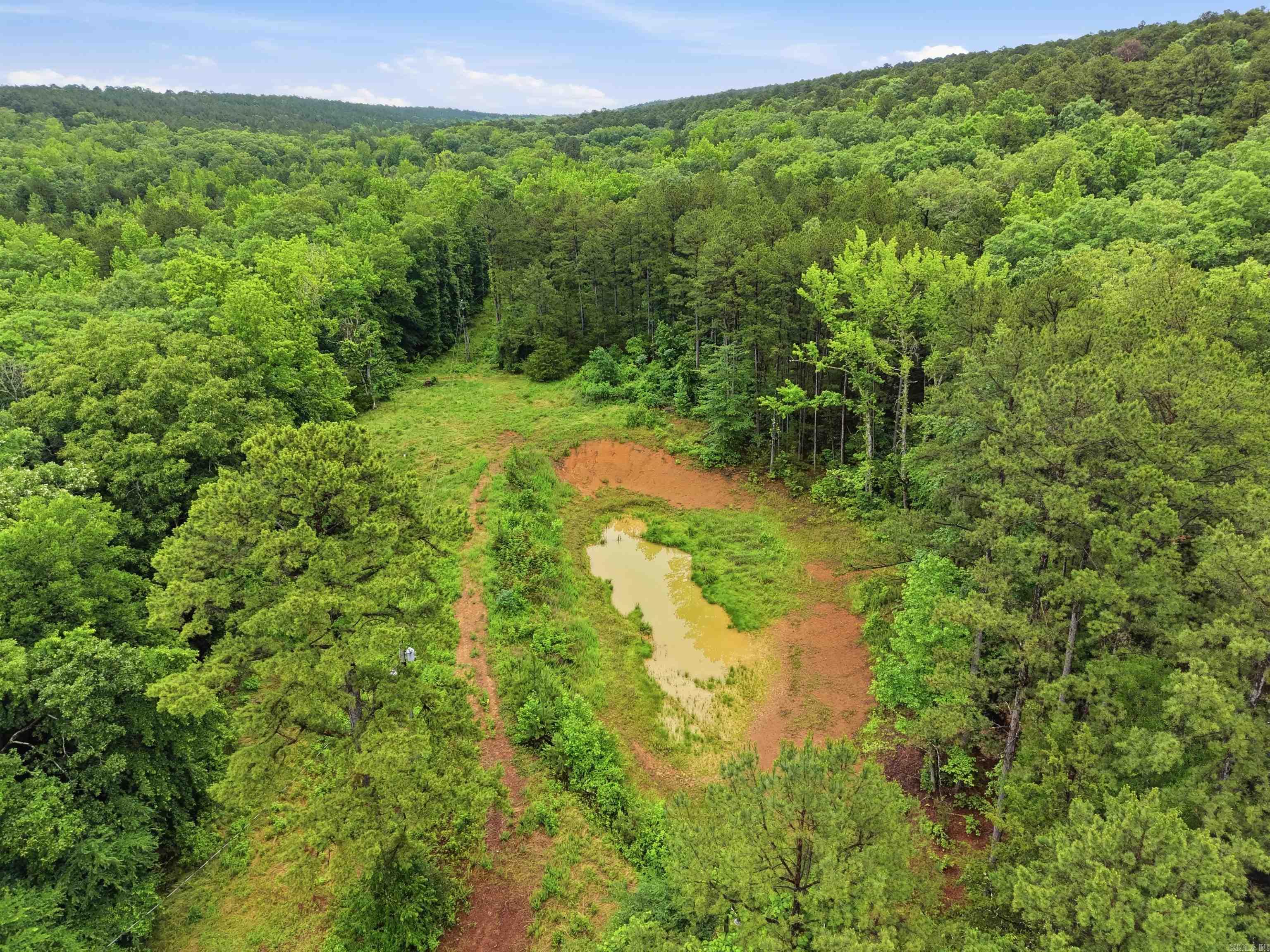 377 Brush Creek  Plainview, AR