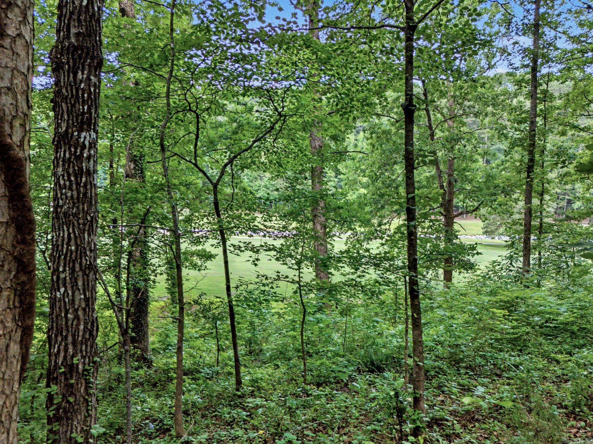 180 Cordero  Hot Springs Village, AR