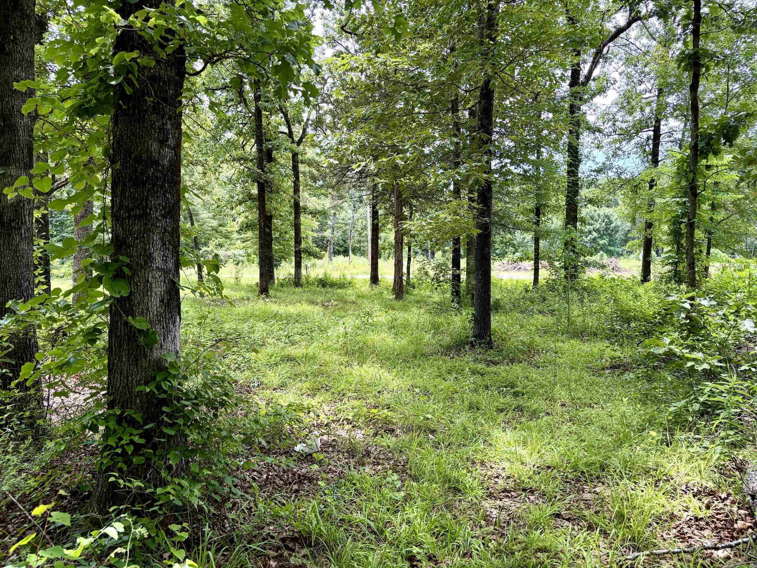 171 Vegas Lane  Beebe, AR