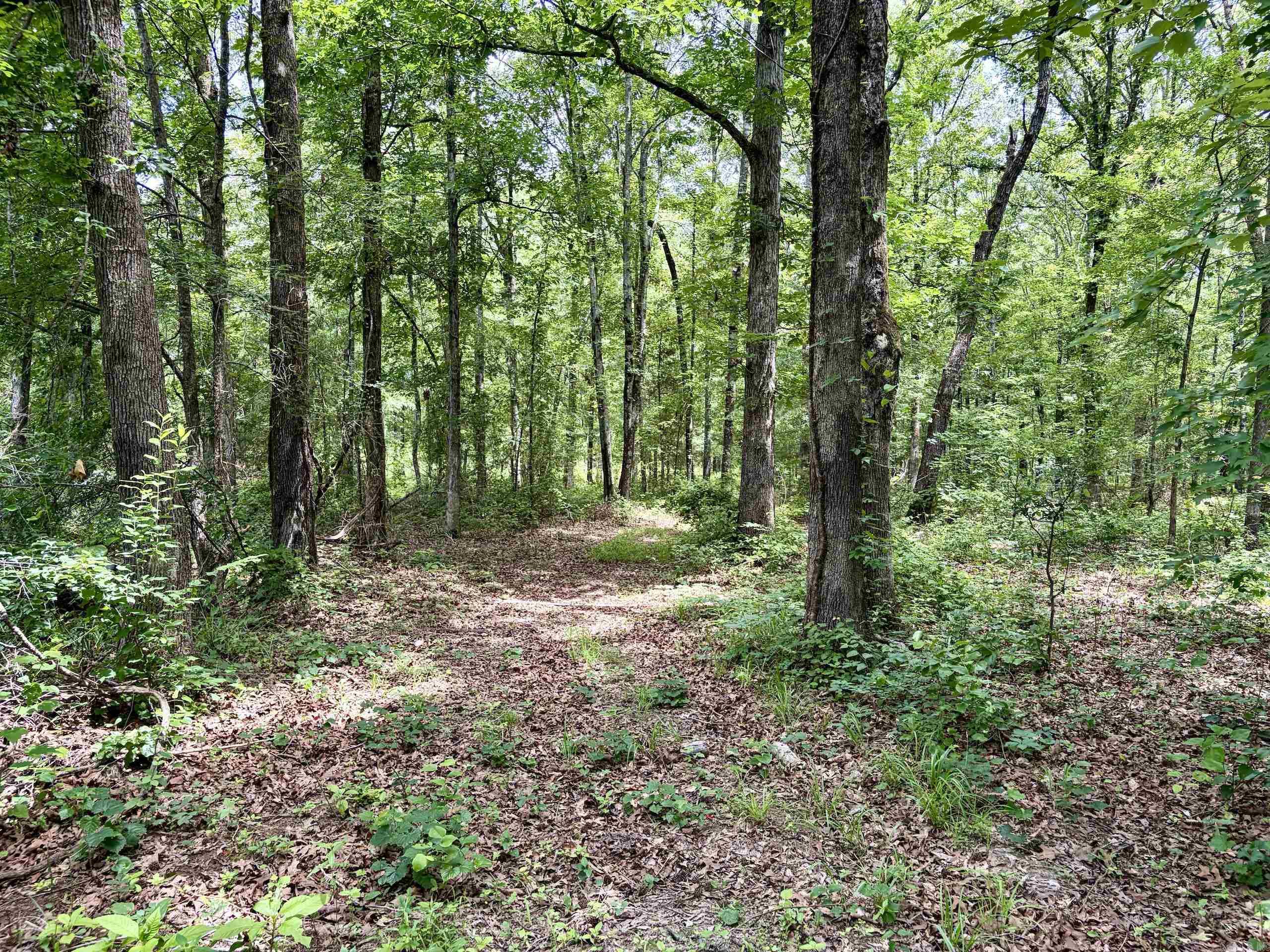 171 Vegas Lane  Beebe, AR