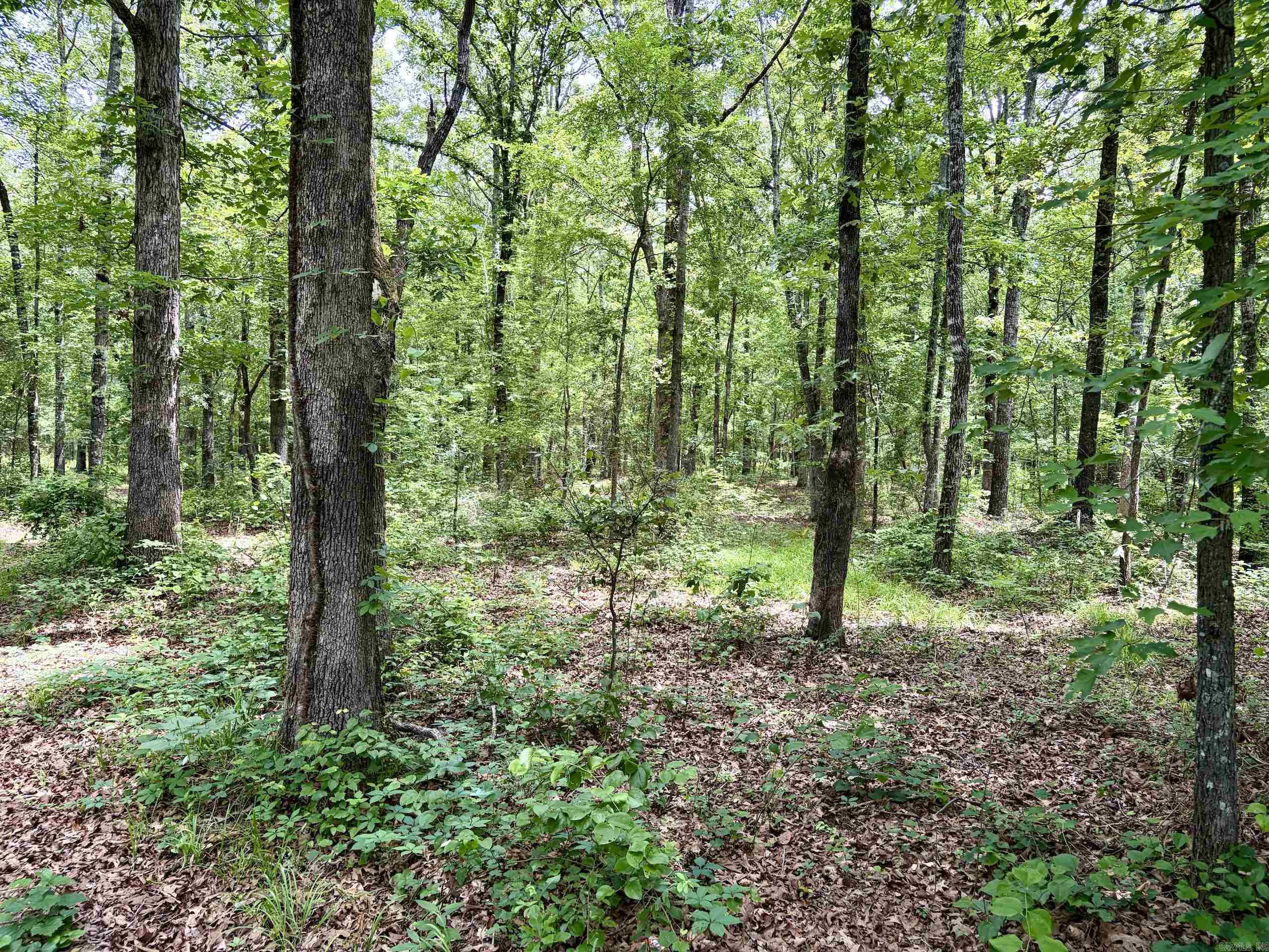 171 Vegas Lane  Beebe, AR