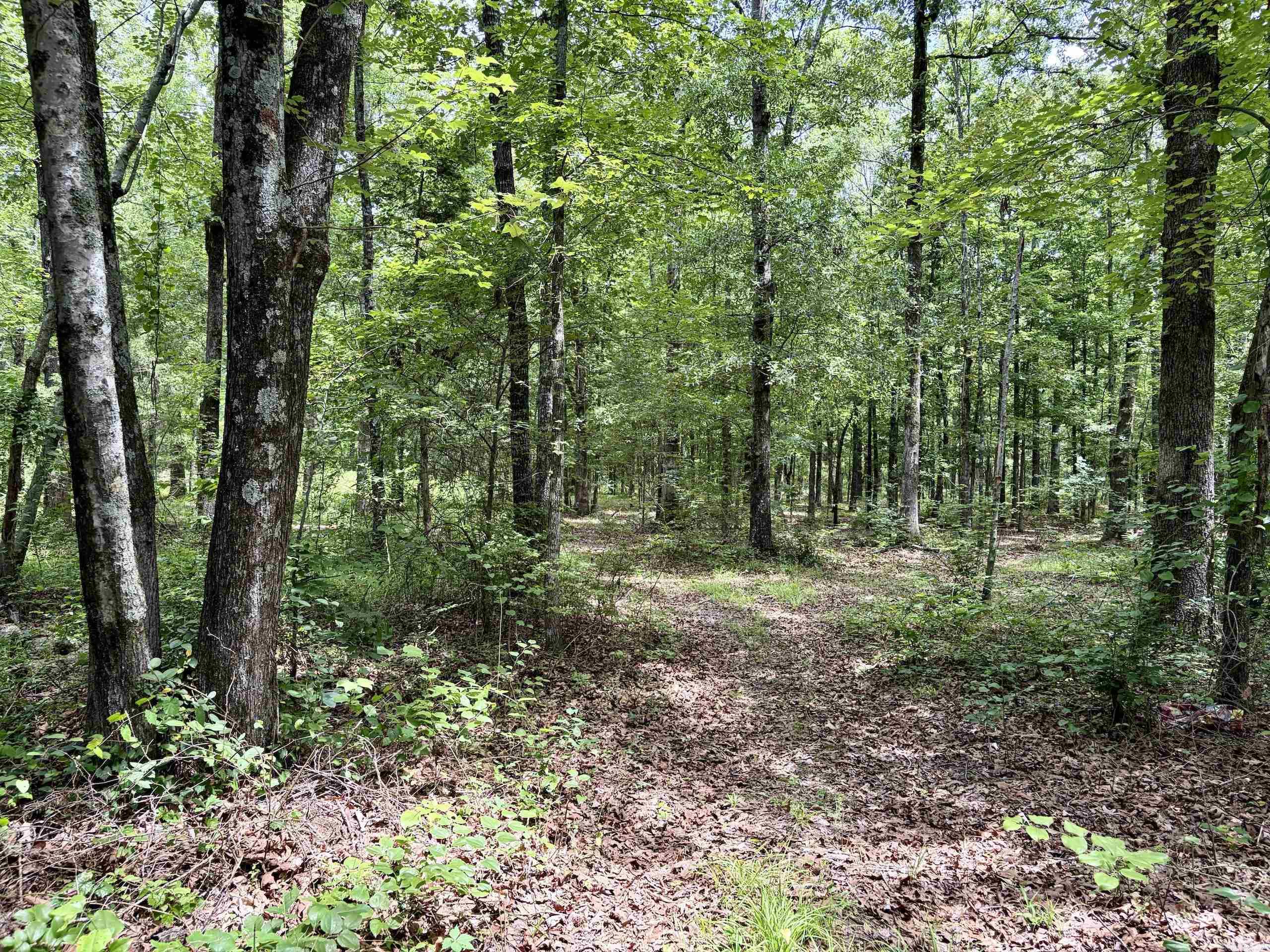 171 Vegas Lane  Beebe, AR