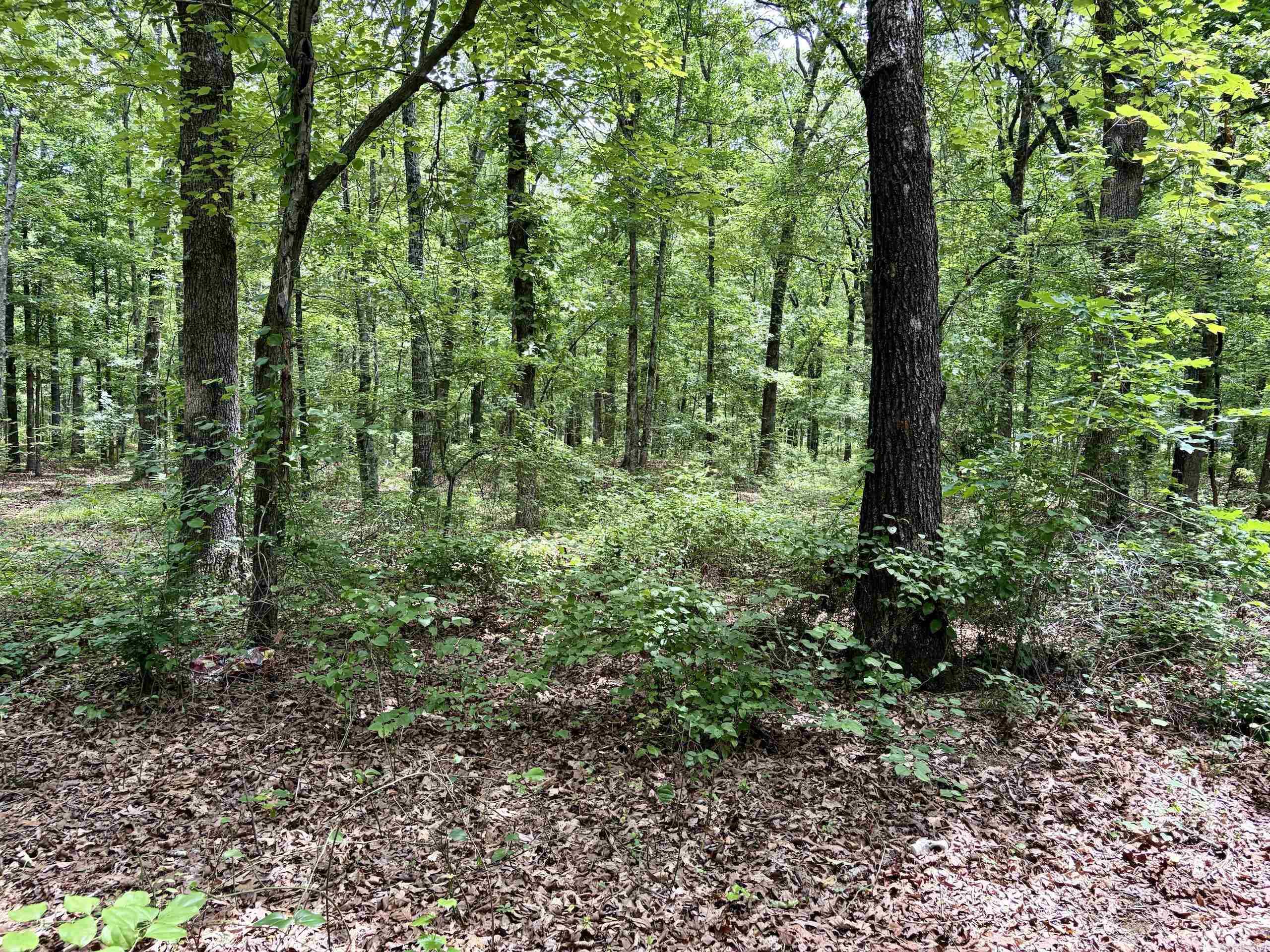 171 Vegas Lane  Beebe, AR
