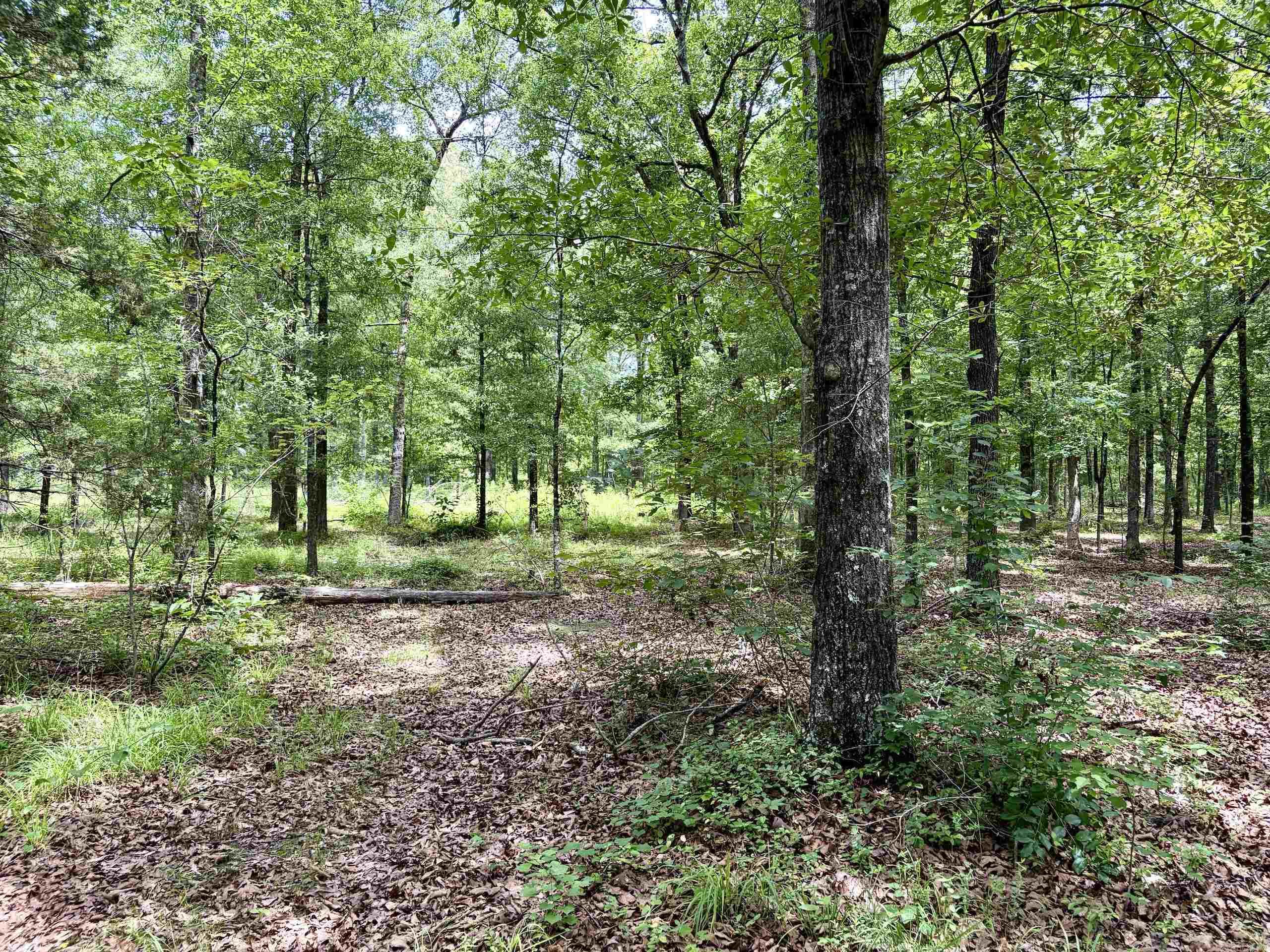 171 Vegas Lane  Beebe, AR