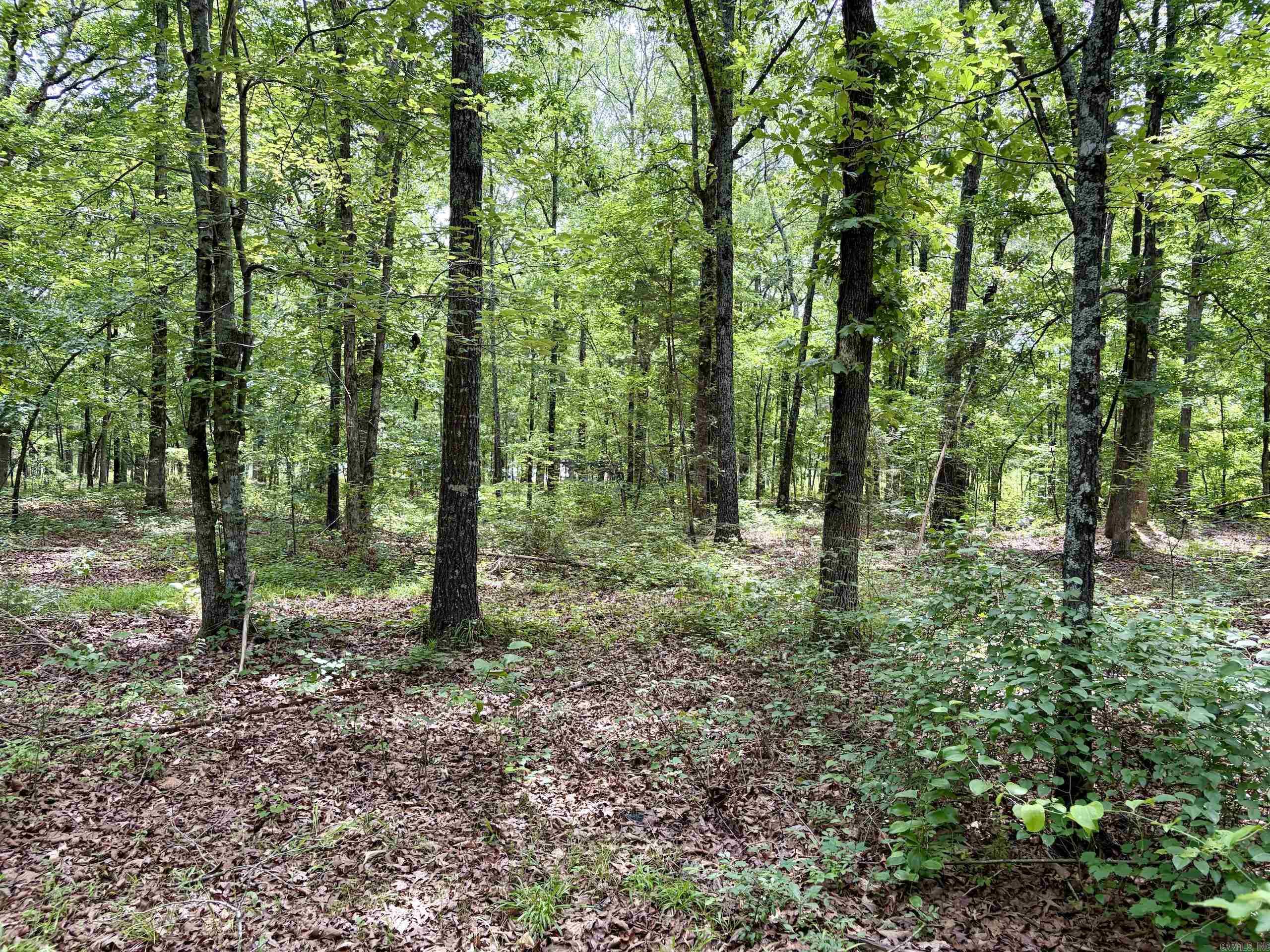 171 Vegas Lane  Beebe, AR