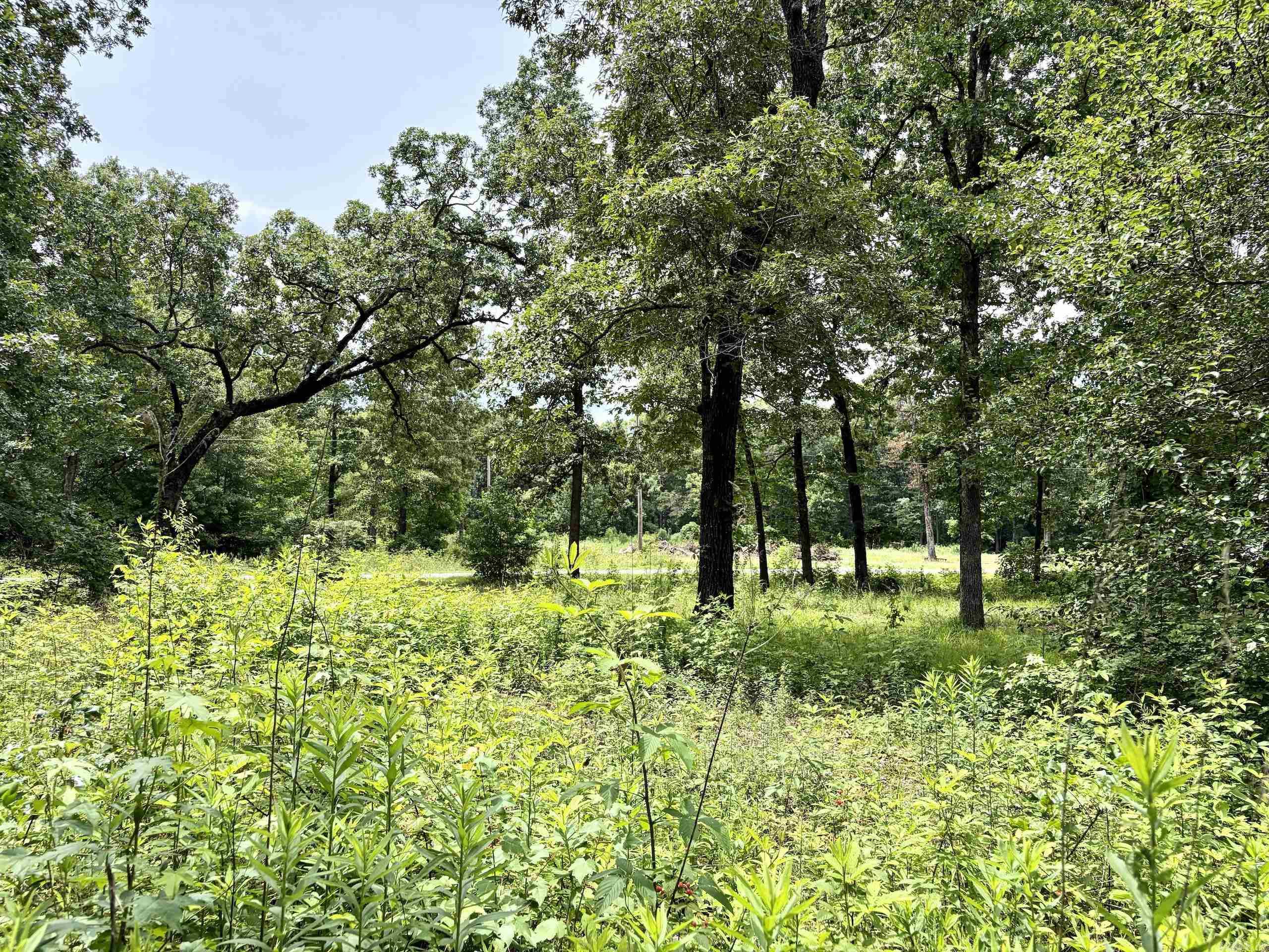 171 Vegas Lane  Beebe, AR