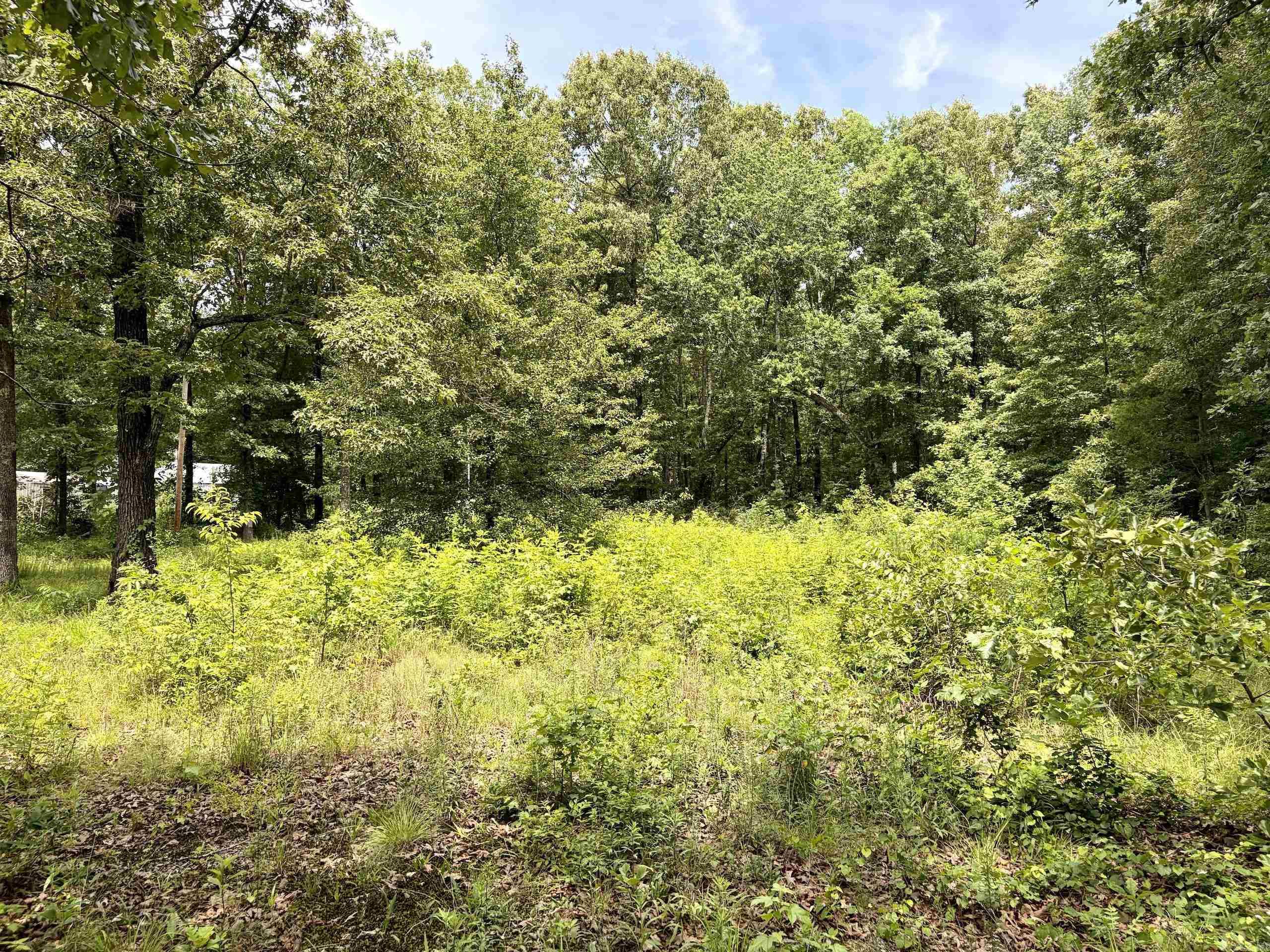 171 Vegas Lane  Beebe, AR