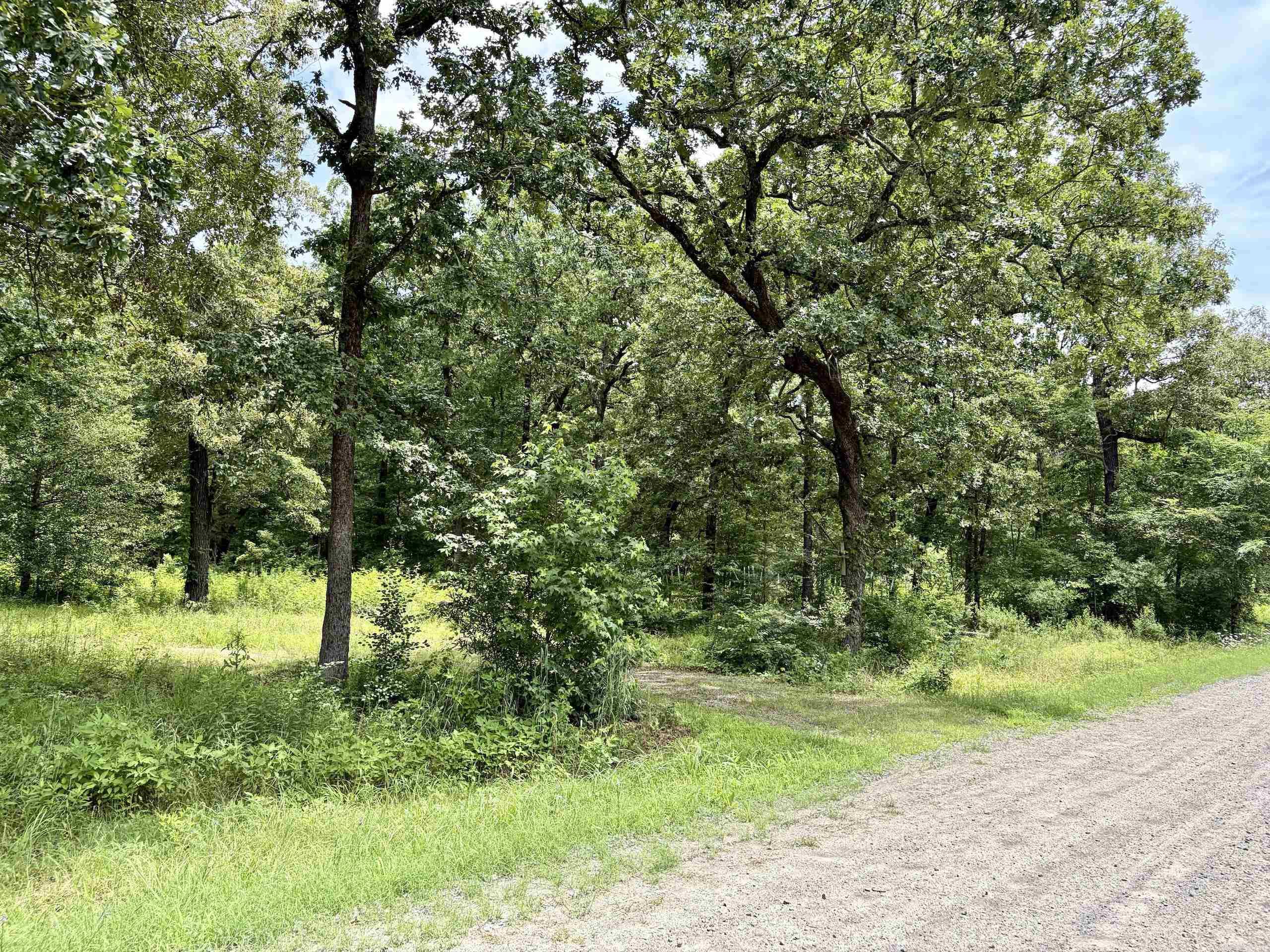171 Vegas Lane  Beebe, AR