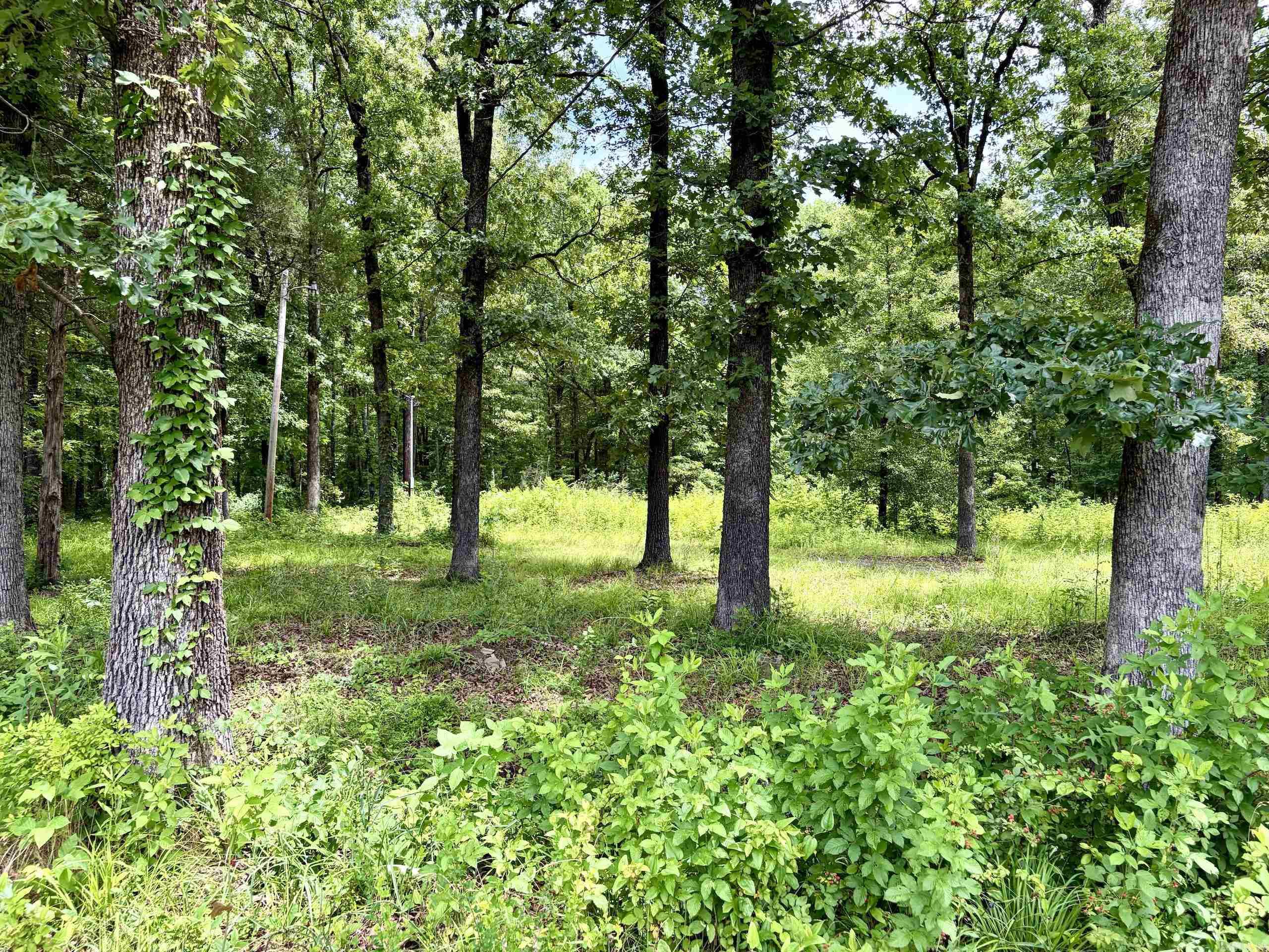 171 Vegas Lane  Beebe, AR