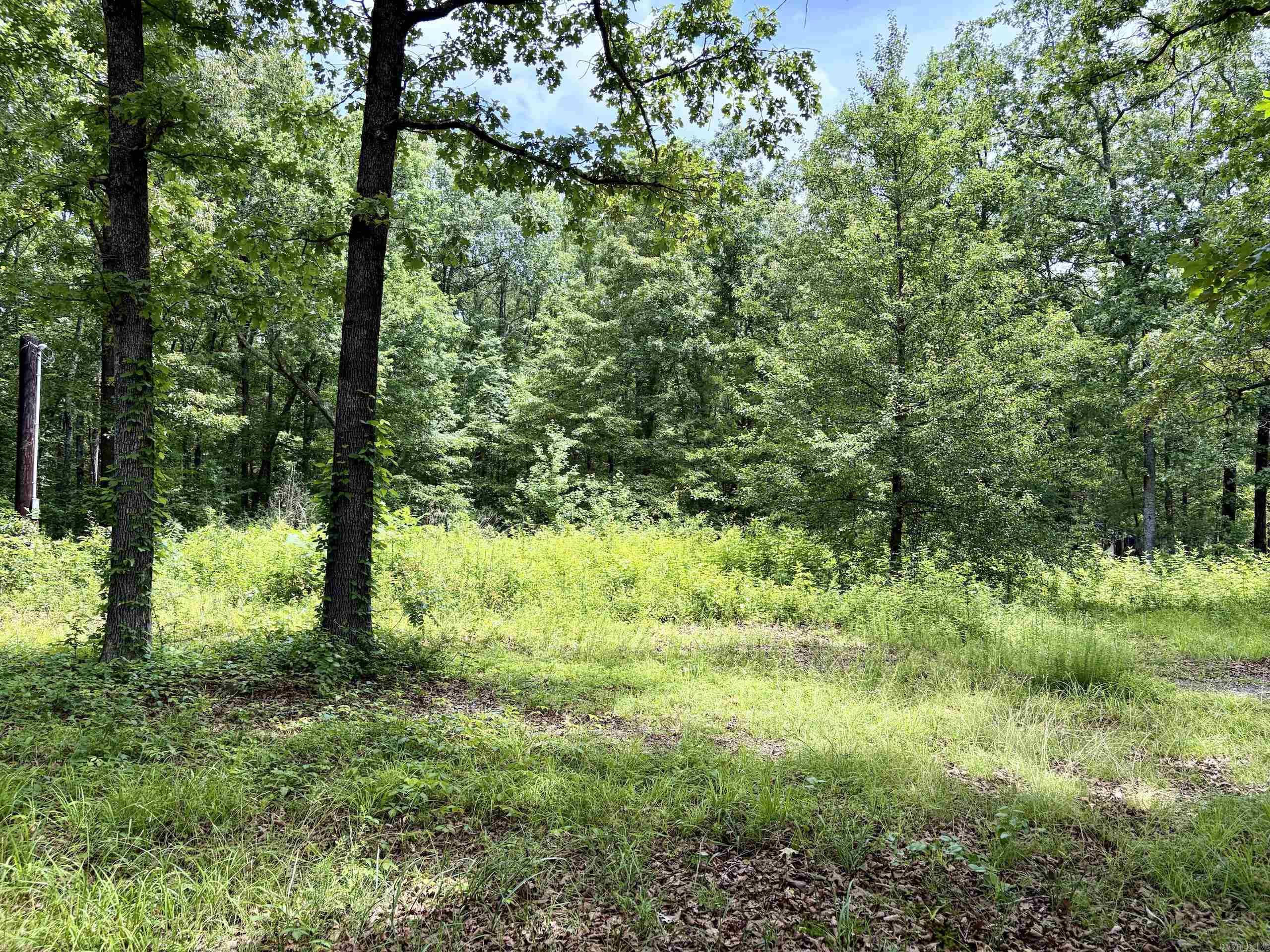 171 Vegas Lane  Beebe, AR