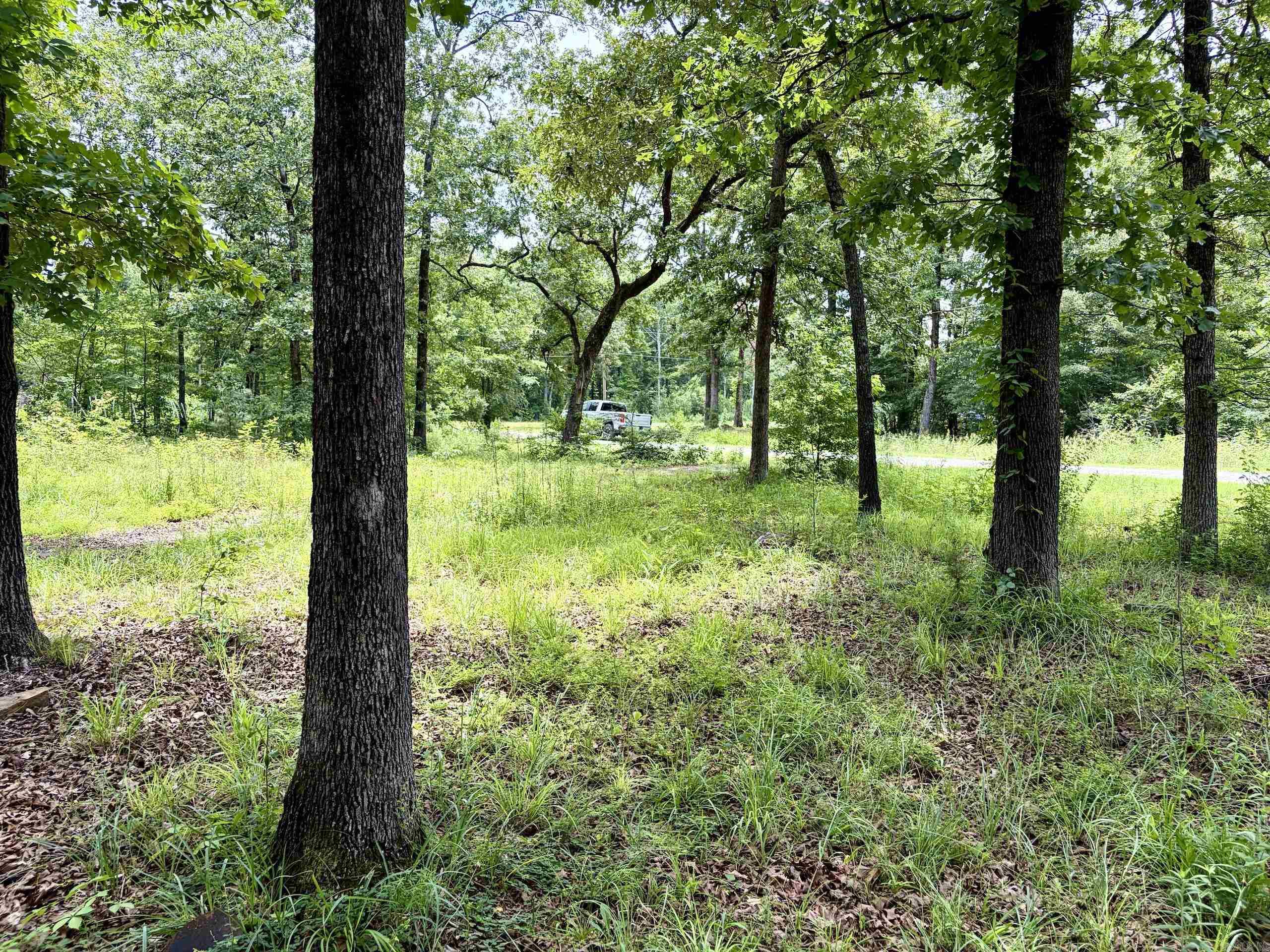 171 Vegas Lane  Beebe, AR