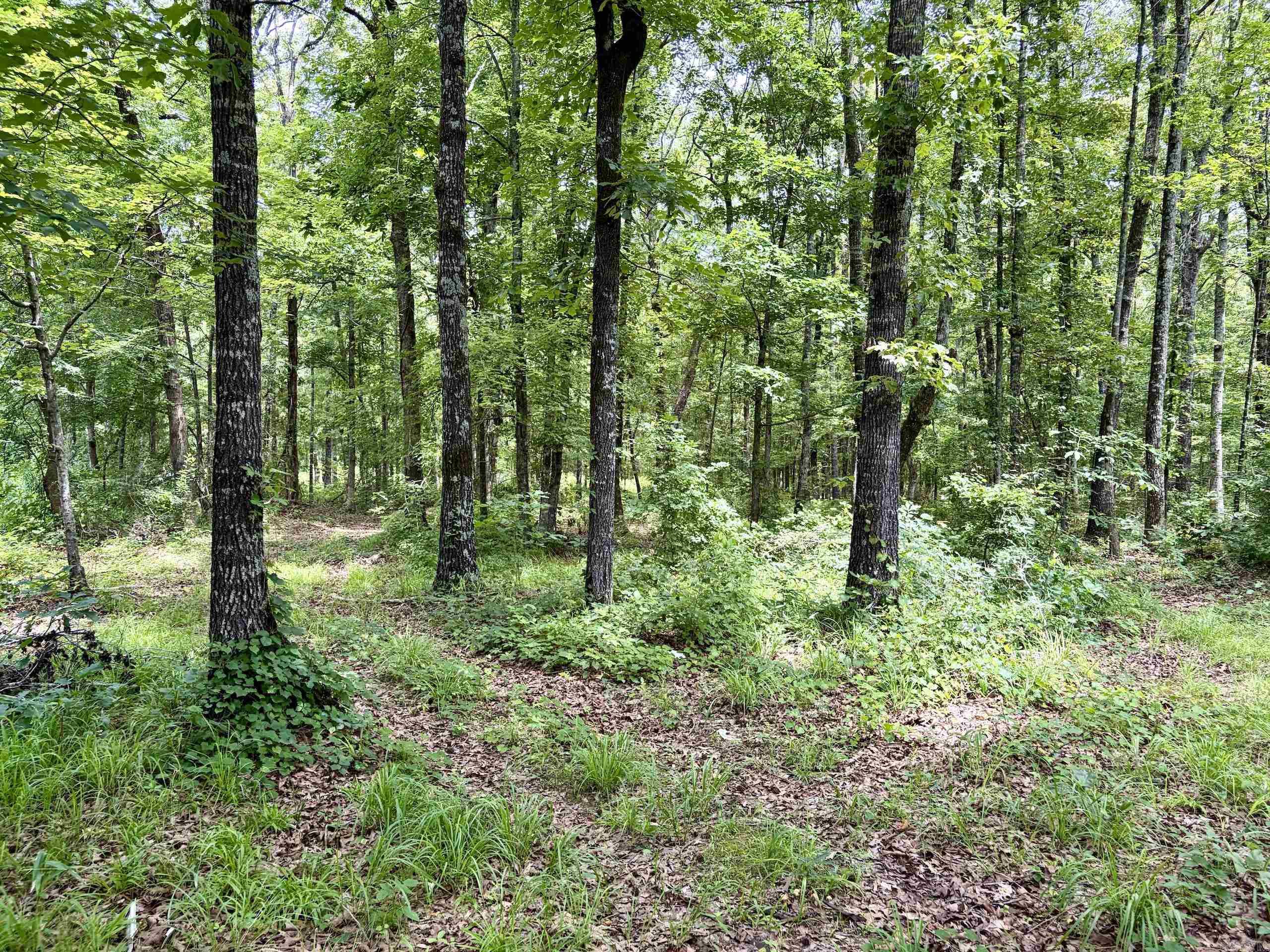 171 Vegas Lane  Beebe, AR