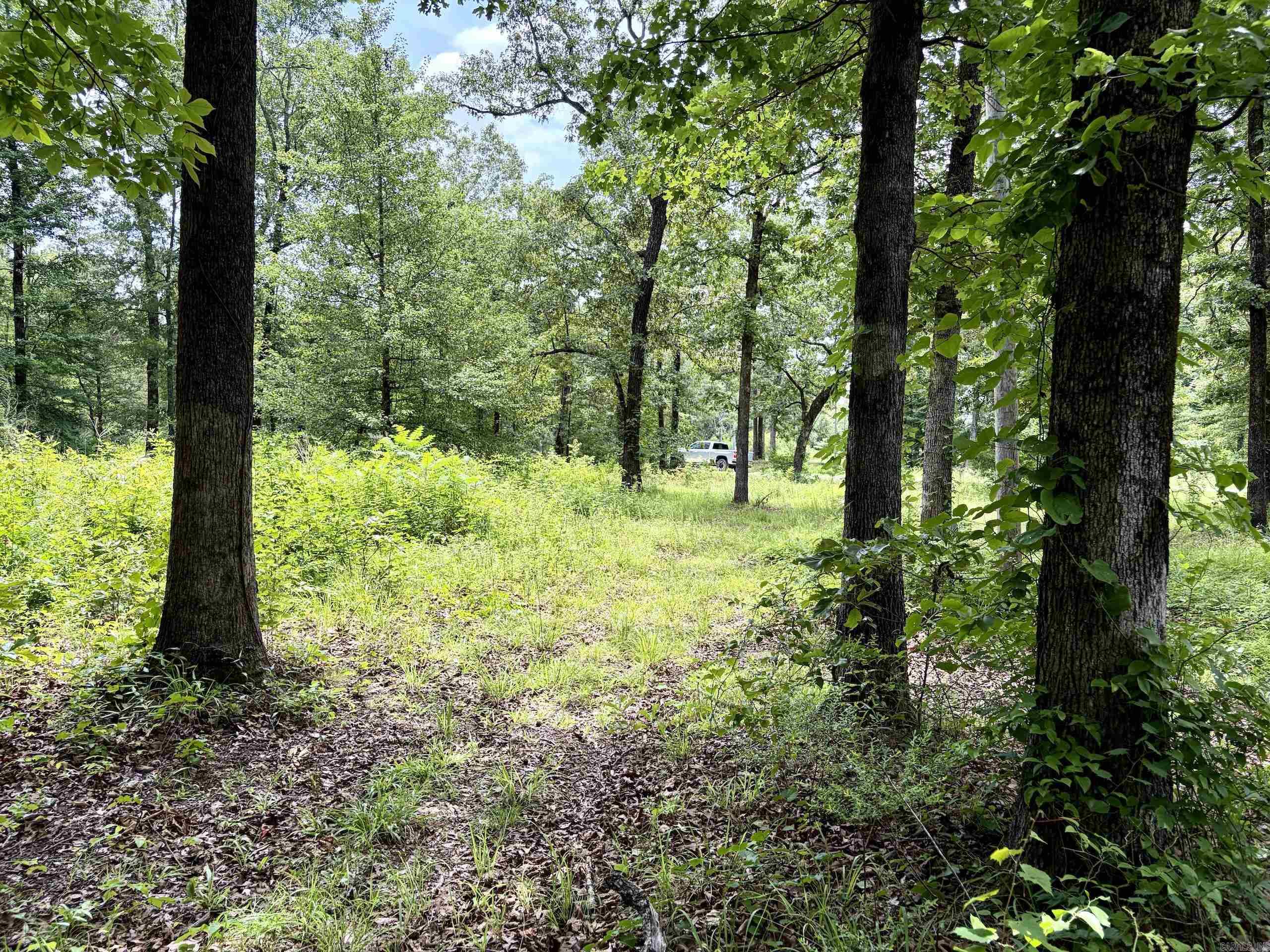 171 Vegas Lane  Beebe, AR