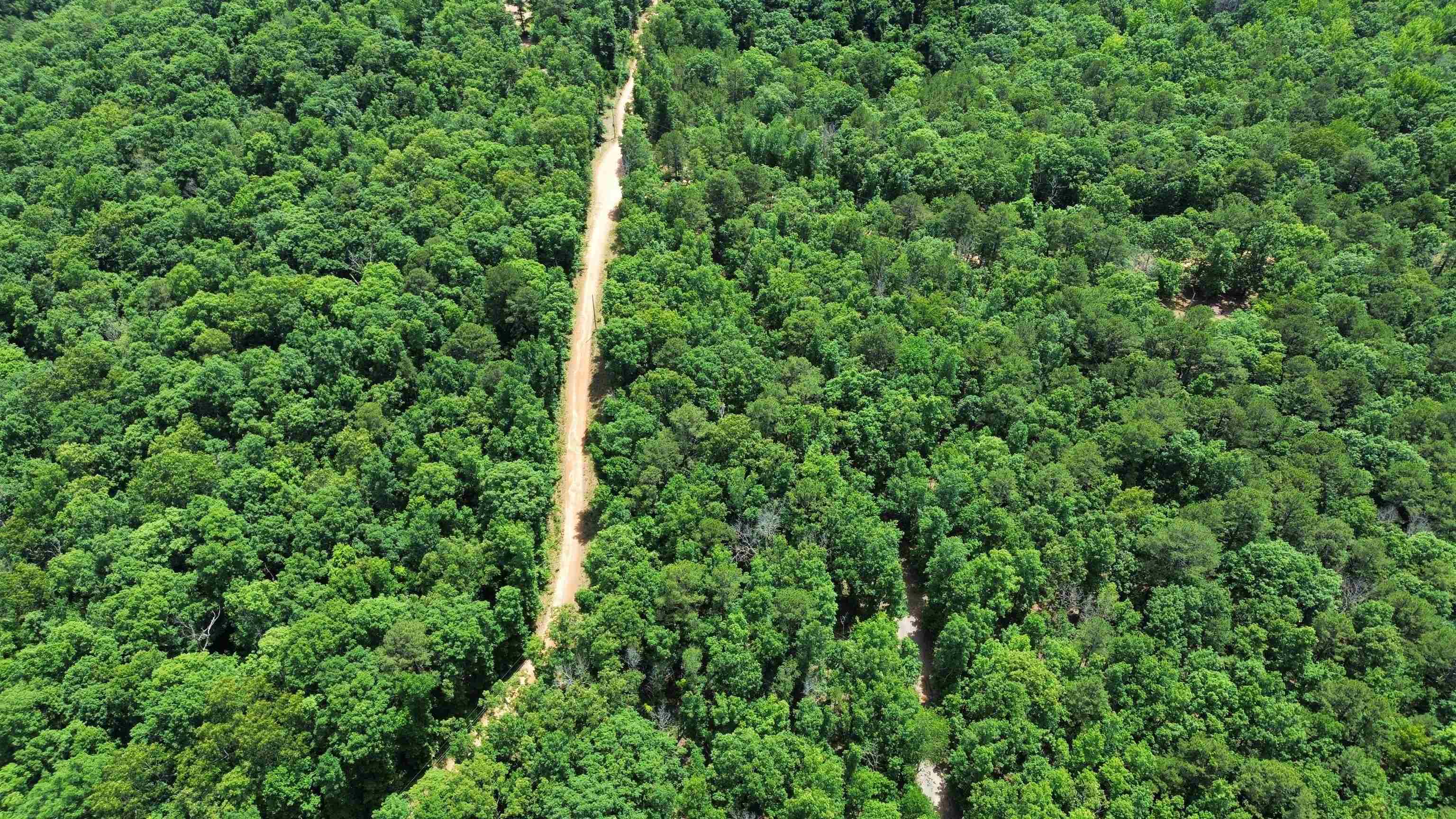 10 Lute Mountain Road  Shirley, AR