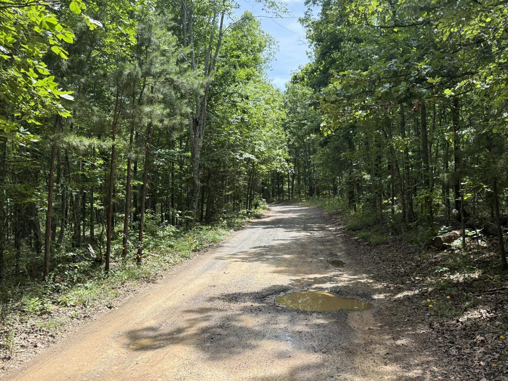 10 Lute Mountain Road  Shirley, AR