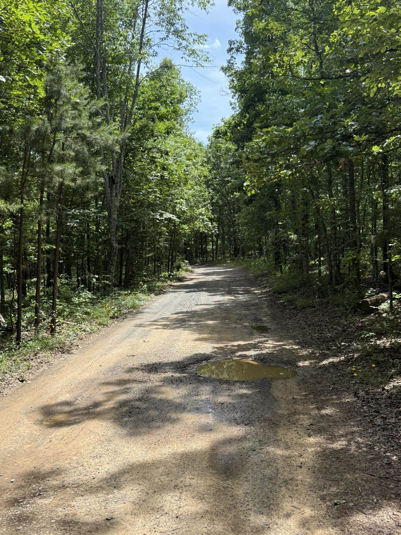 10 Lute Mountain Road  Shirley, AR