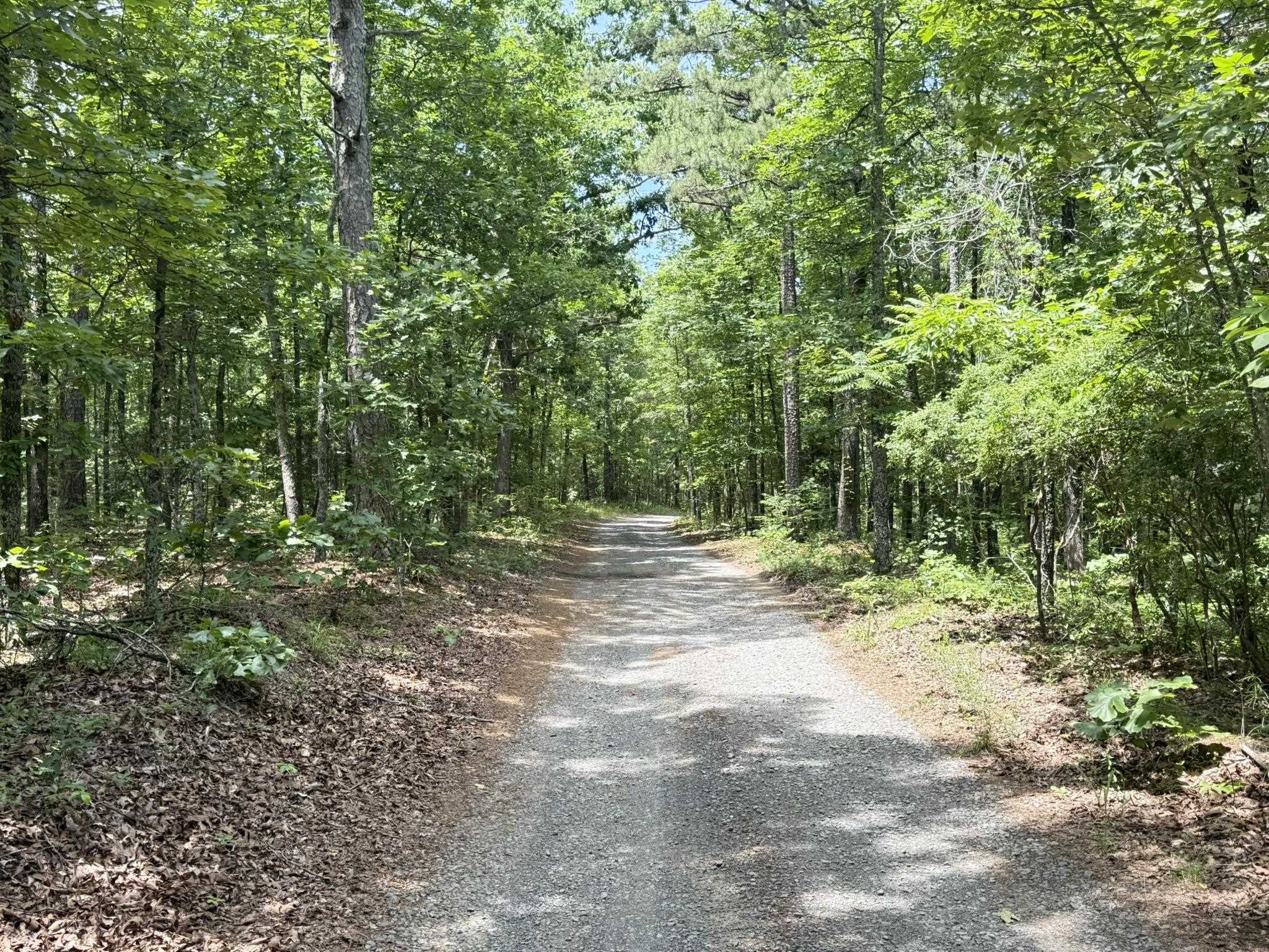 10 Lute Mountain Road  Shirley, AR