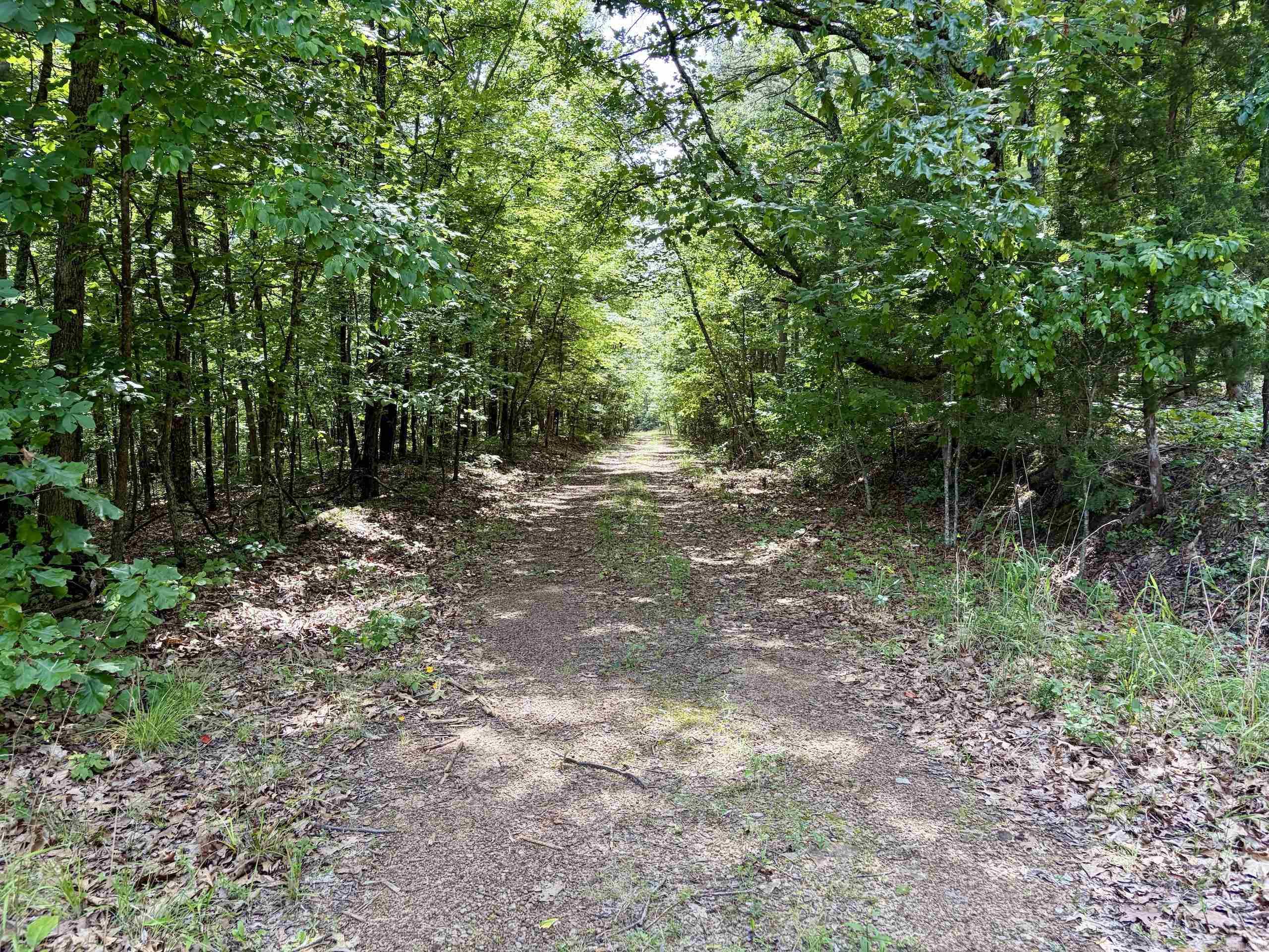 2475 Holly Mountain Road  Clinton, AR