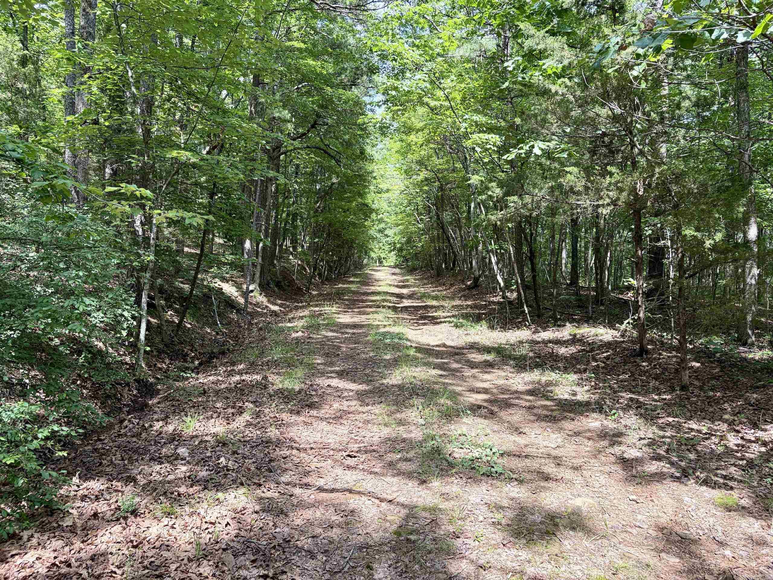 2475 Holly Mountain Road  Clinton, AR