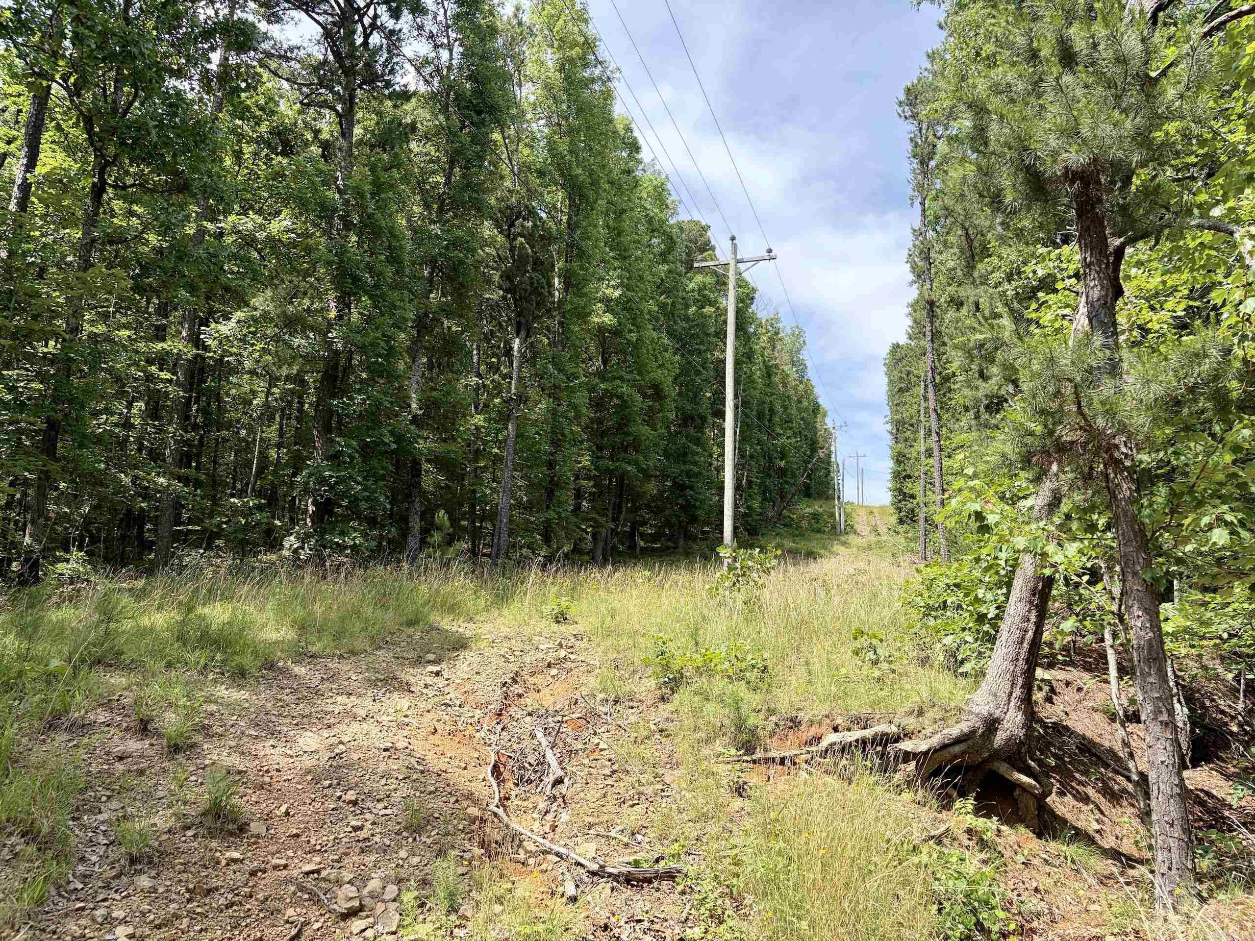 2475 Holly Mountain Road  Clinton, AR