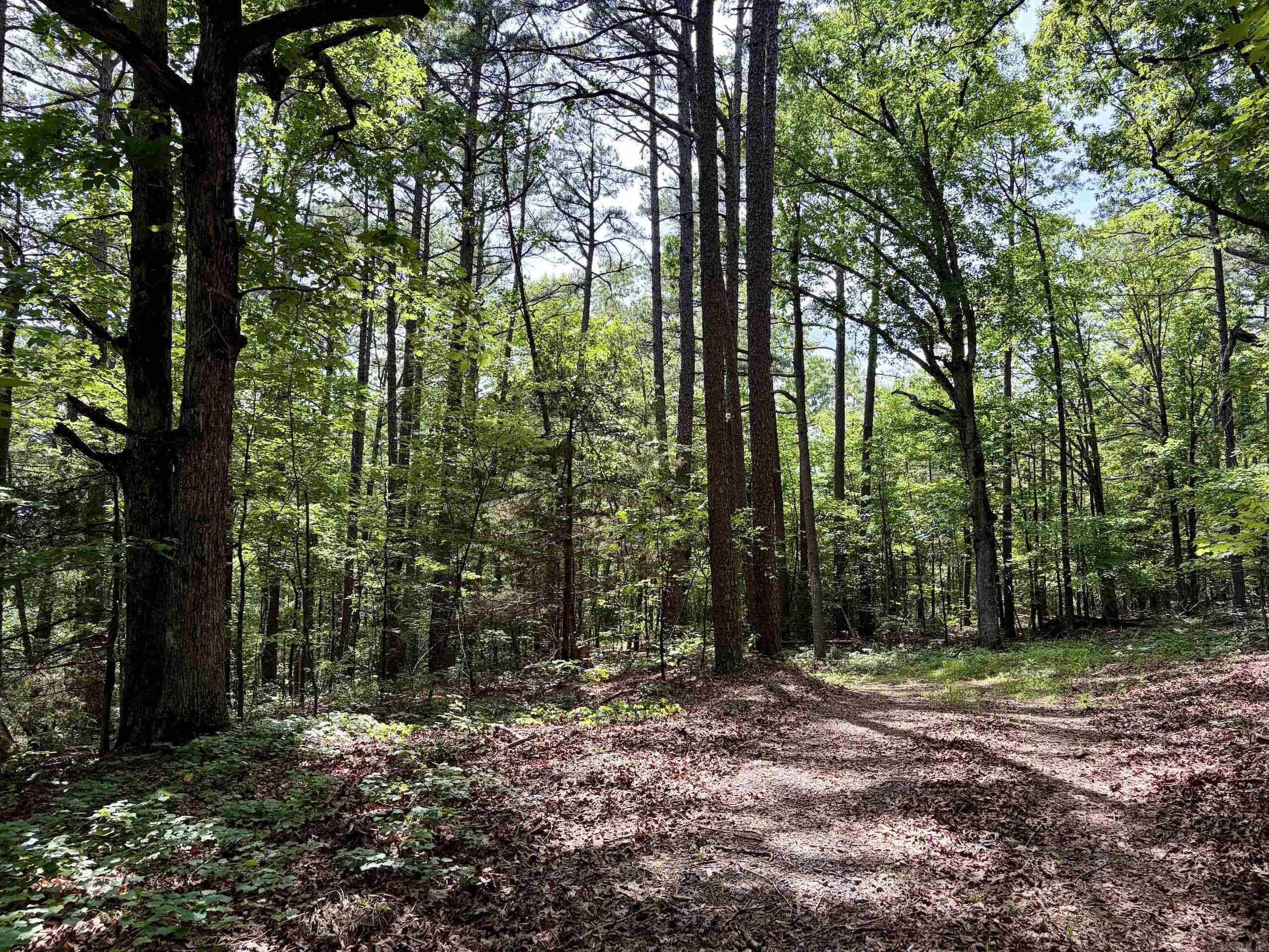 2475 Holly Mountain Road  Clinton, AR