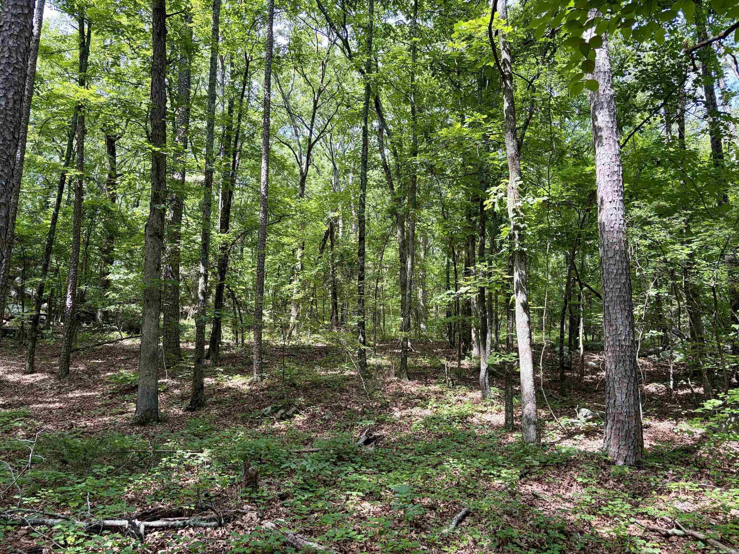 2475 Holly Mountain Road  Clinton, AR