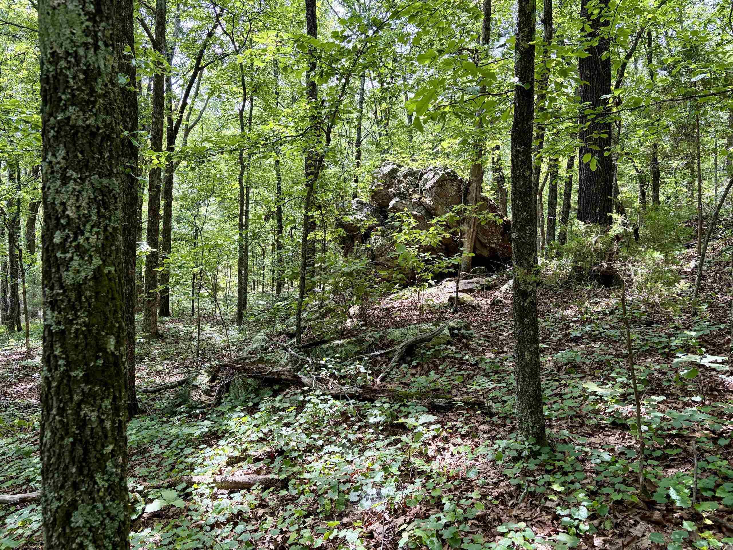 2475 Holly Mountain Road  Clinton, AR