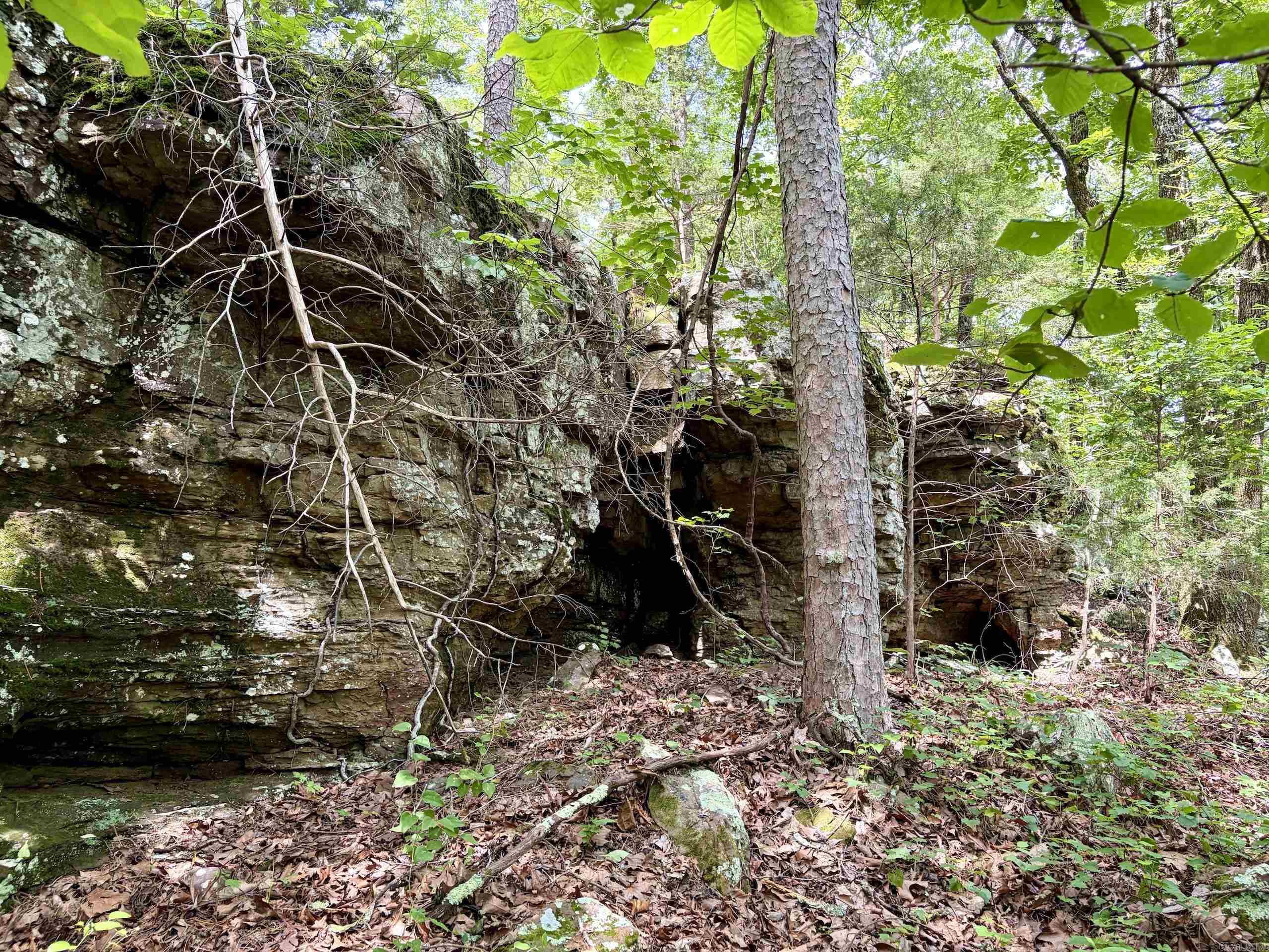 2475 Holly Mountain Road  Clinton, AR