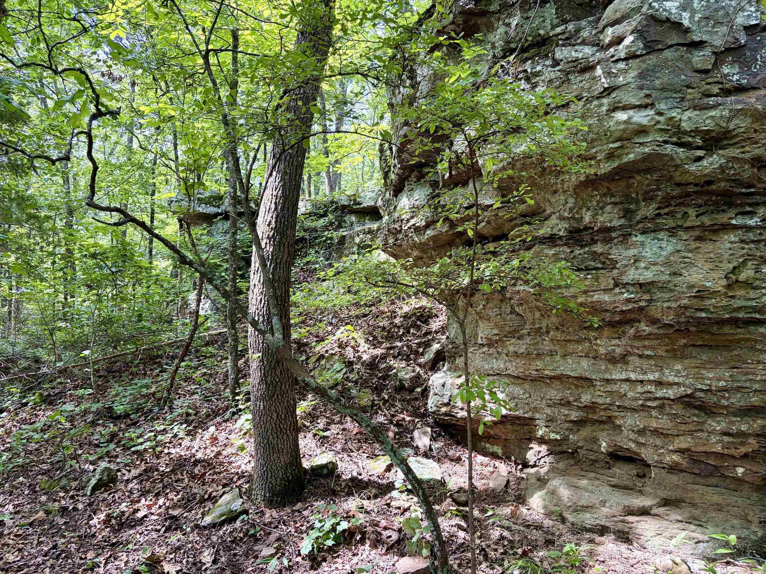 2475 Holly Mountain Road  Clinton, AR