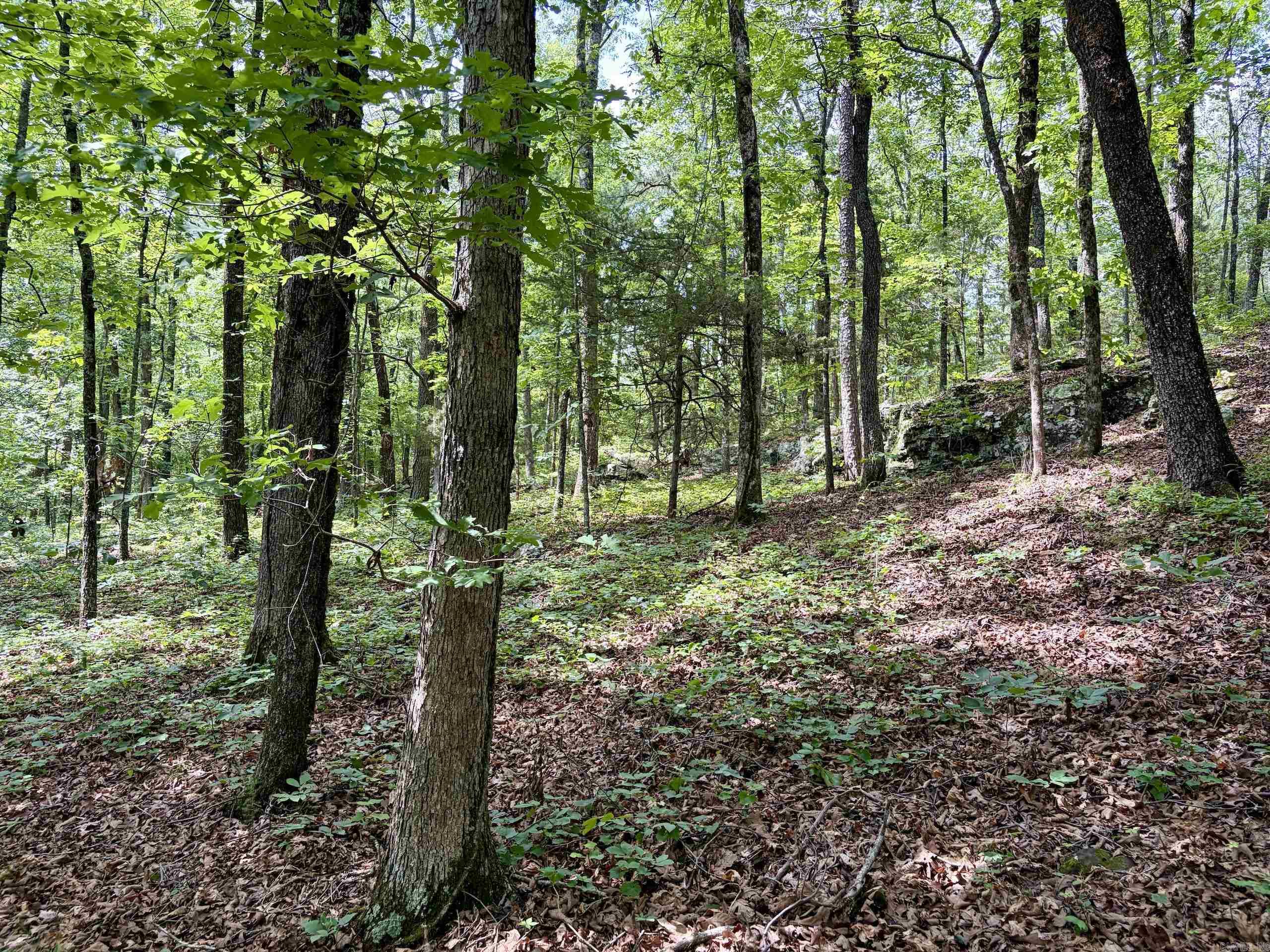 2475 Holly Mountain Road  Clinton, AR