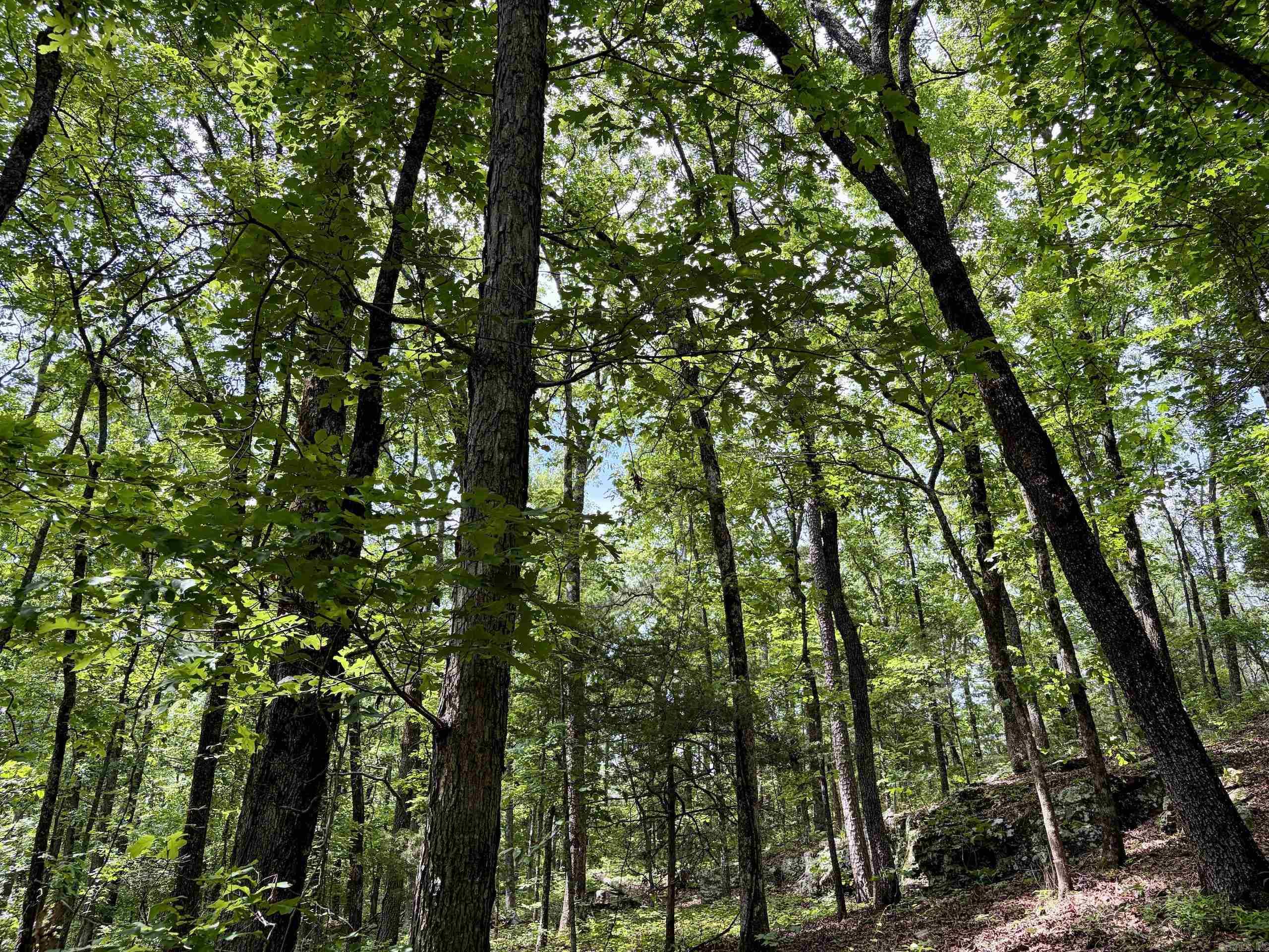 2475 Holly Mountain Road  Clinton, AR