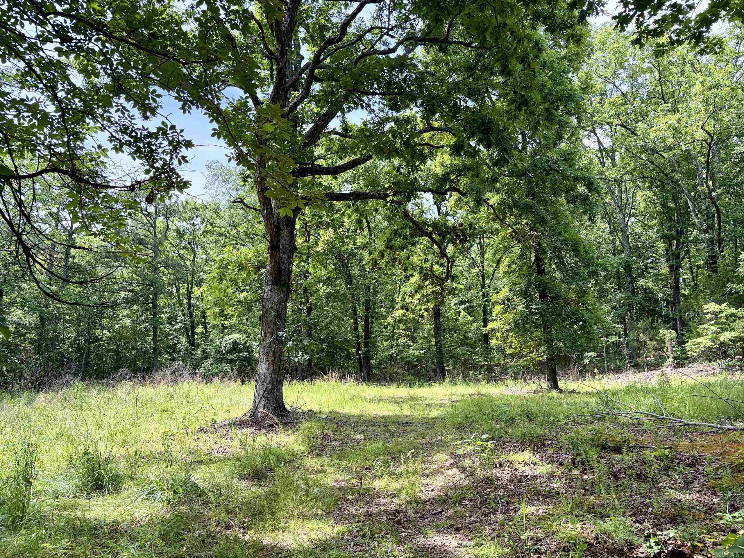 2475 Holly Mountain Road  Clinton, AR