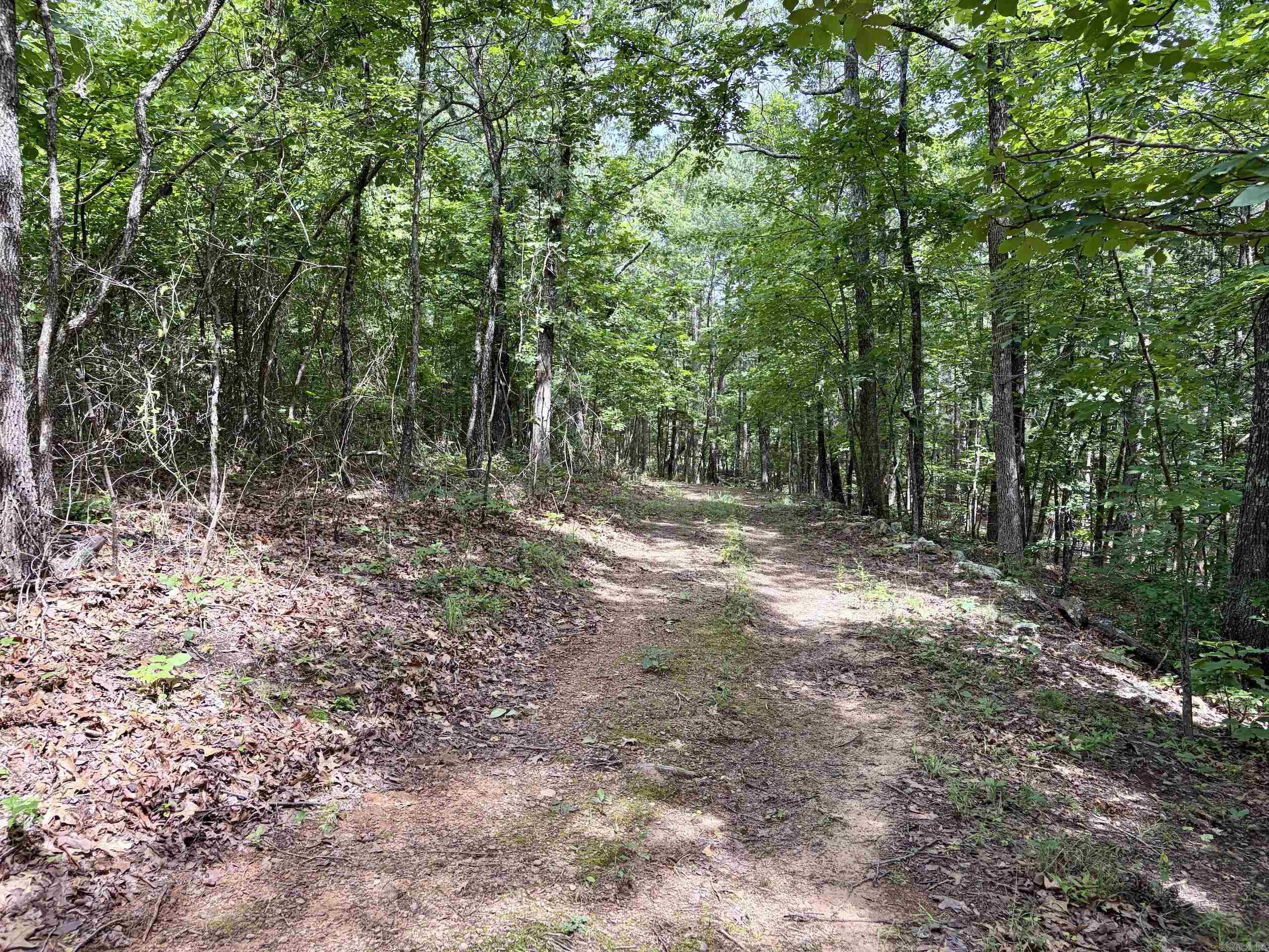2475 Holly Mountain Road  Clinton, AR