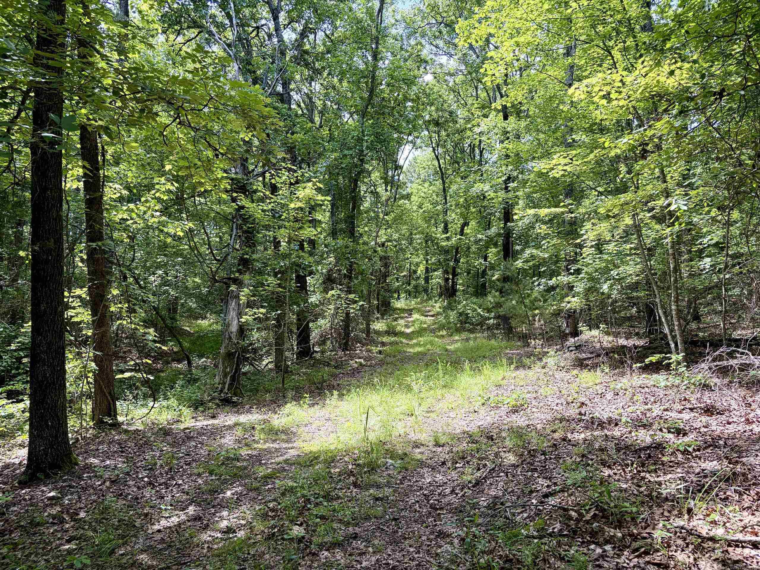 2475 Holly Mountain Road  Clinton, AR