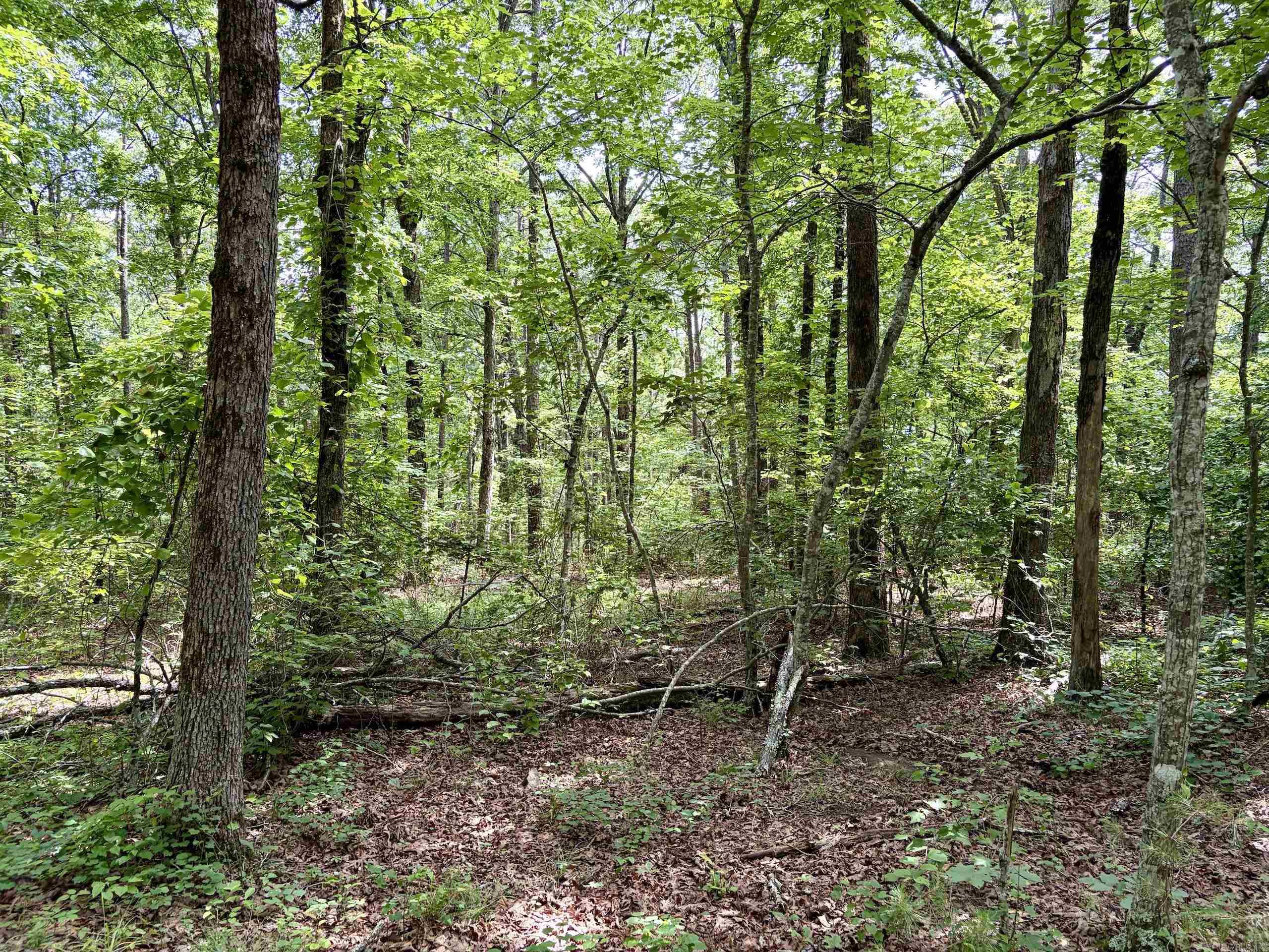2475 Holly Mountain Road  Clinton, AR