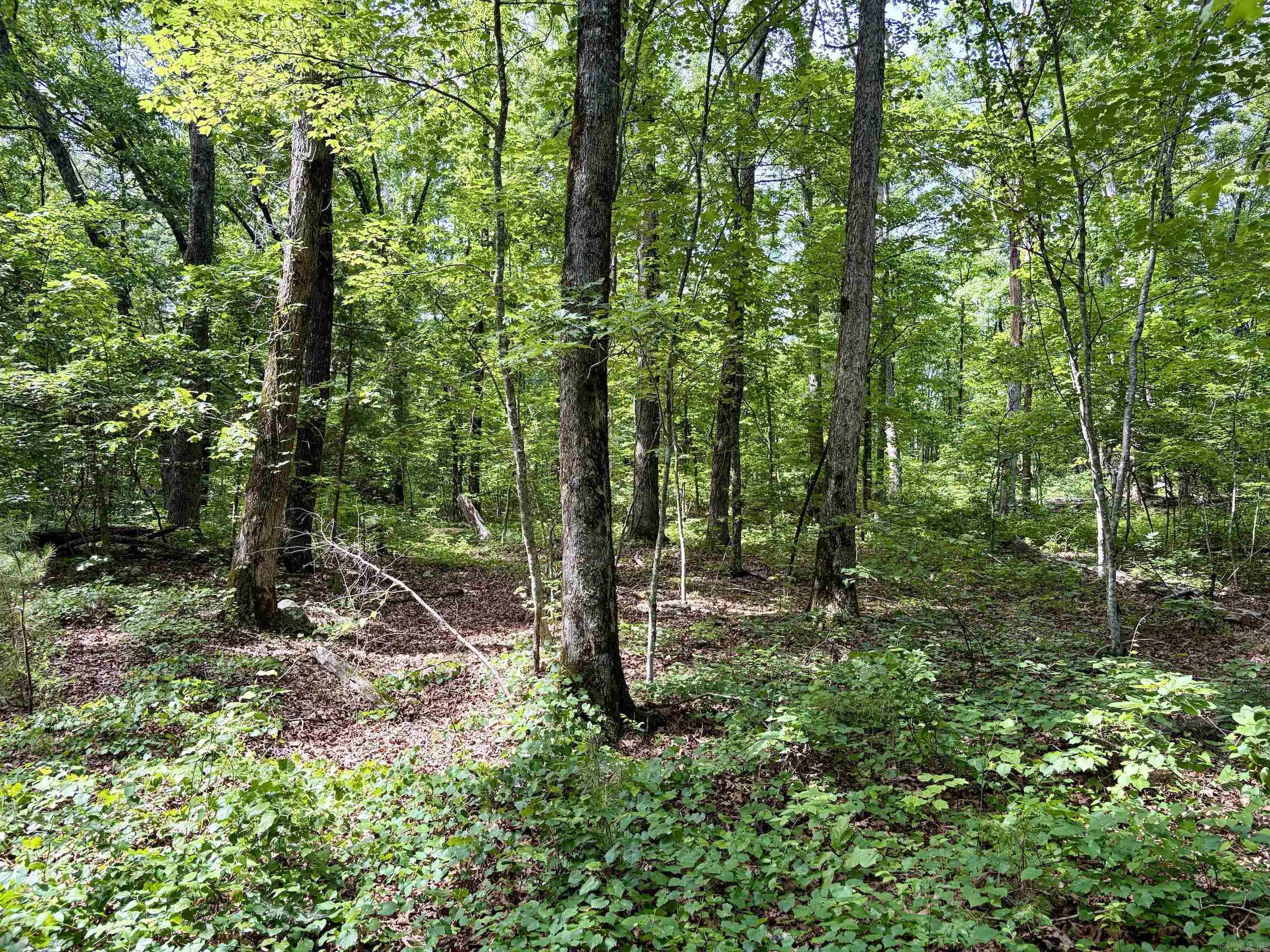 2475 Holly Mountain Road  Clinton, AR