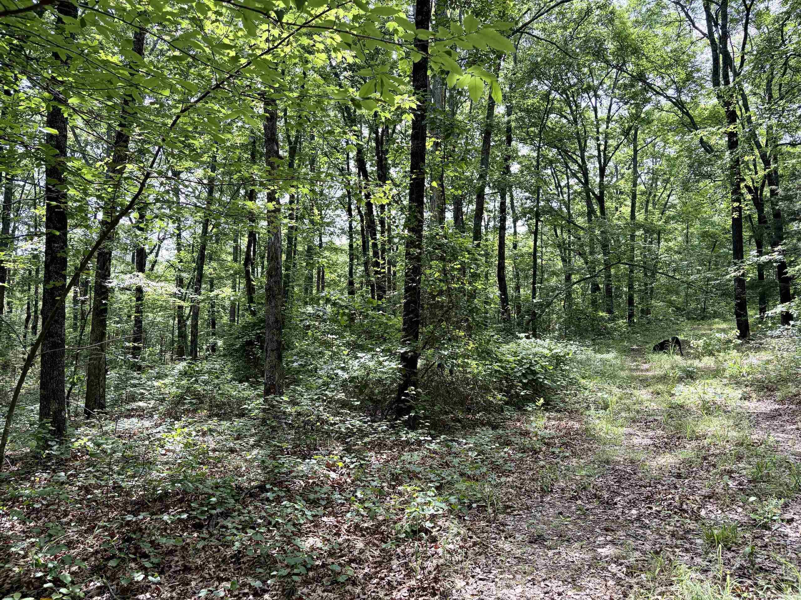 2475 Holly Mountain Road  Clinton, AR