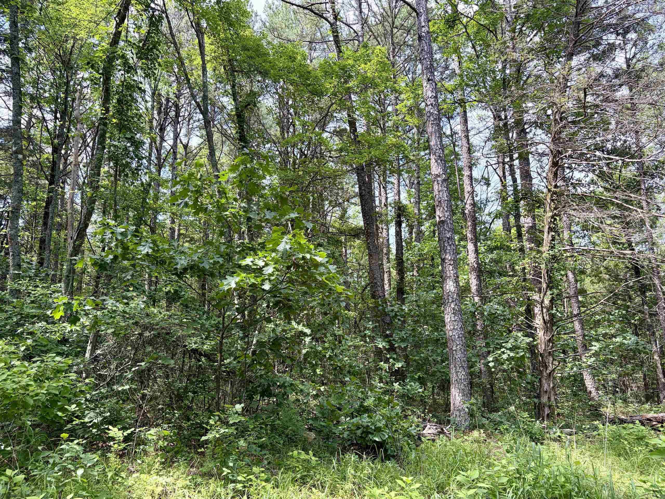2475 Holly Mountain Road  Clinton, AR