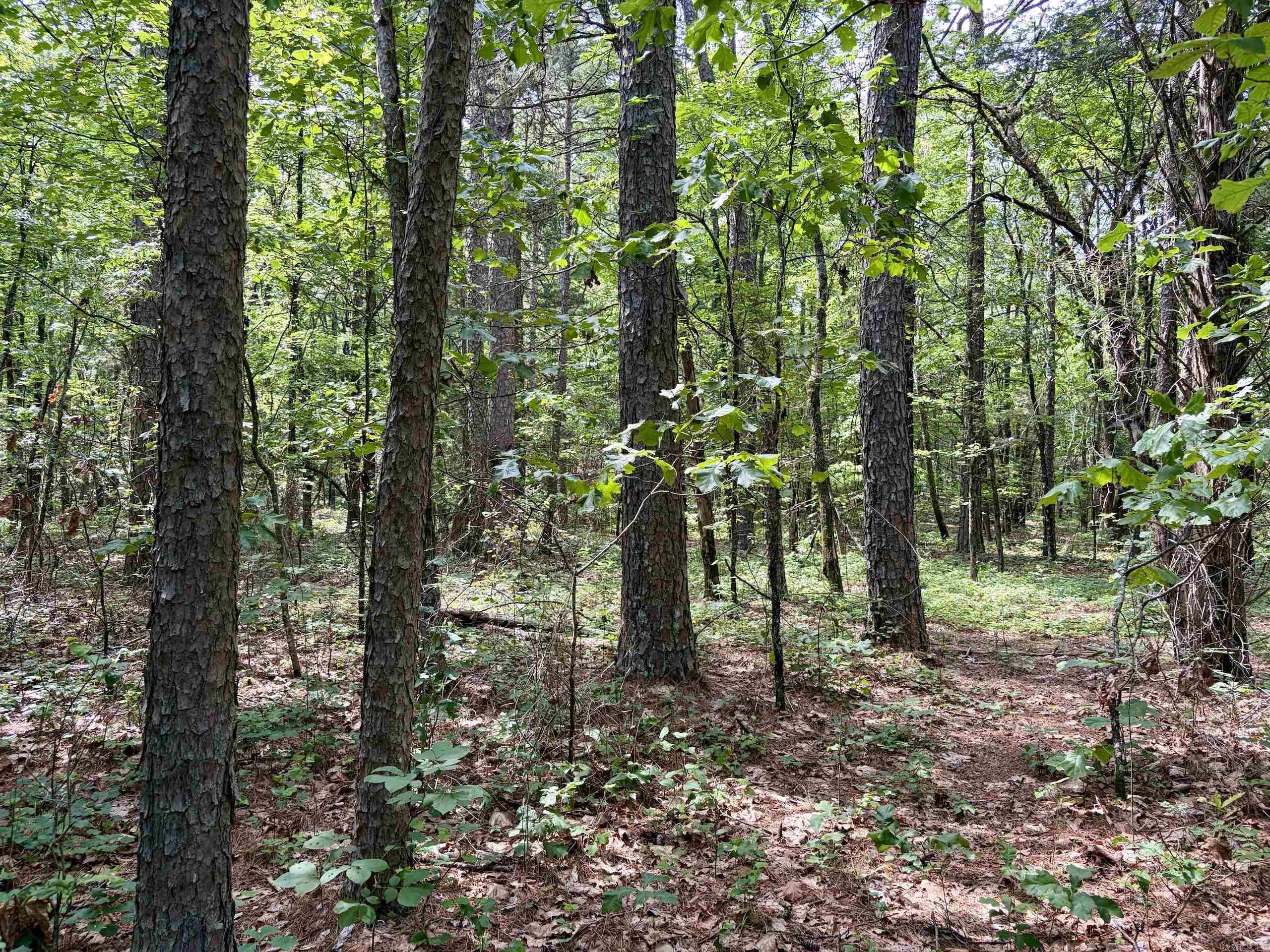 2475 Holly Mountain Road  Clinton, AR